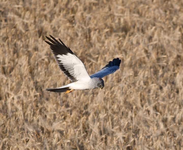 Valokuvaaja: Tuija Mustalahti