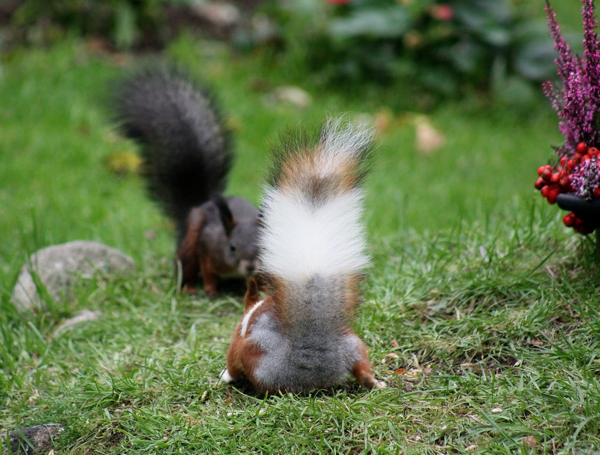 Valokuvaaja: Pirkko Siukonen