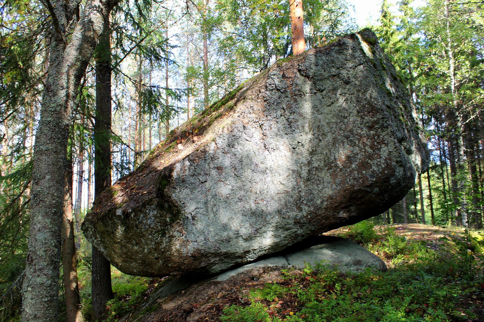 Valokuvaaja: Paula Savelius