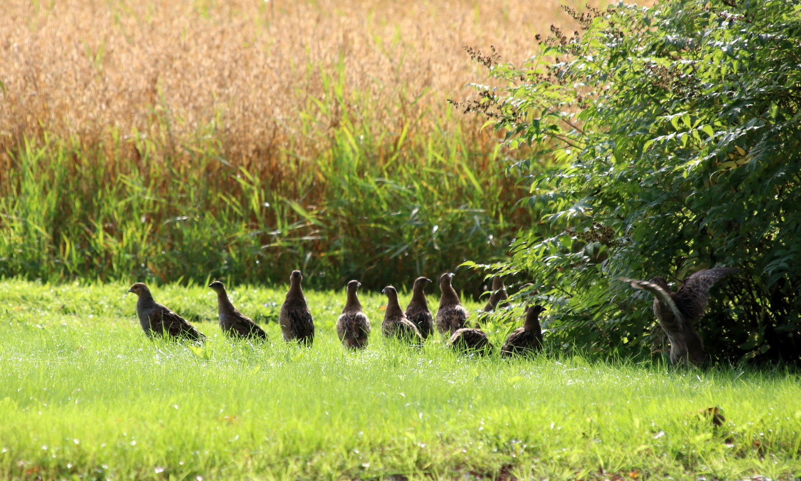 Valokuvaaja: Helena Sytelä