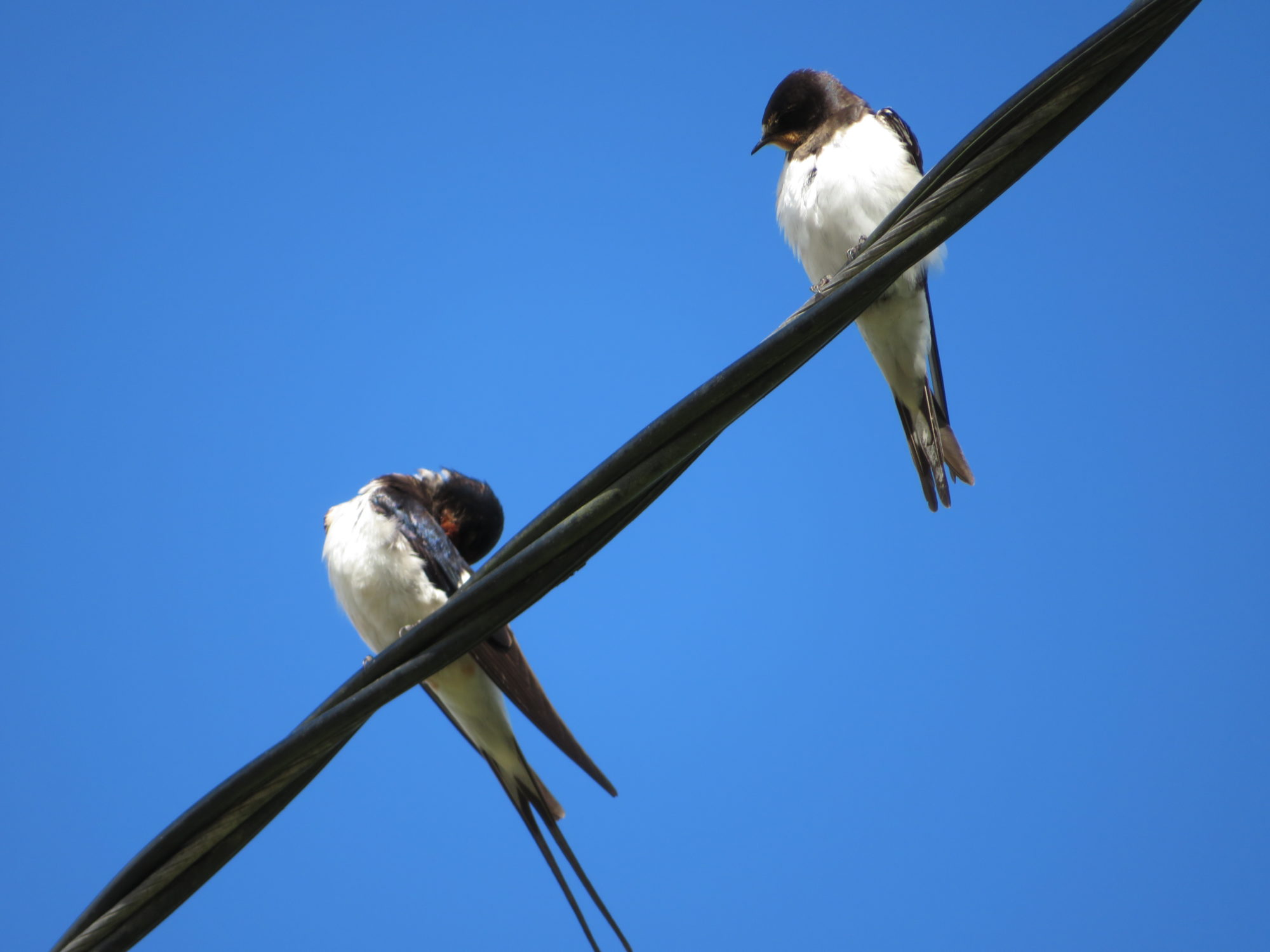 Valokuvaaja: Risto Kangassalo