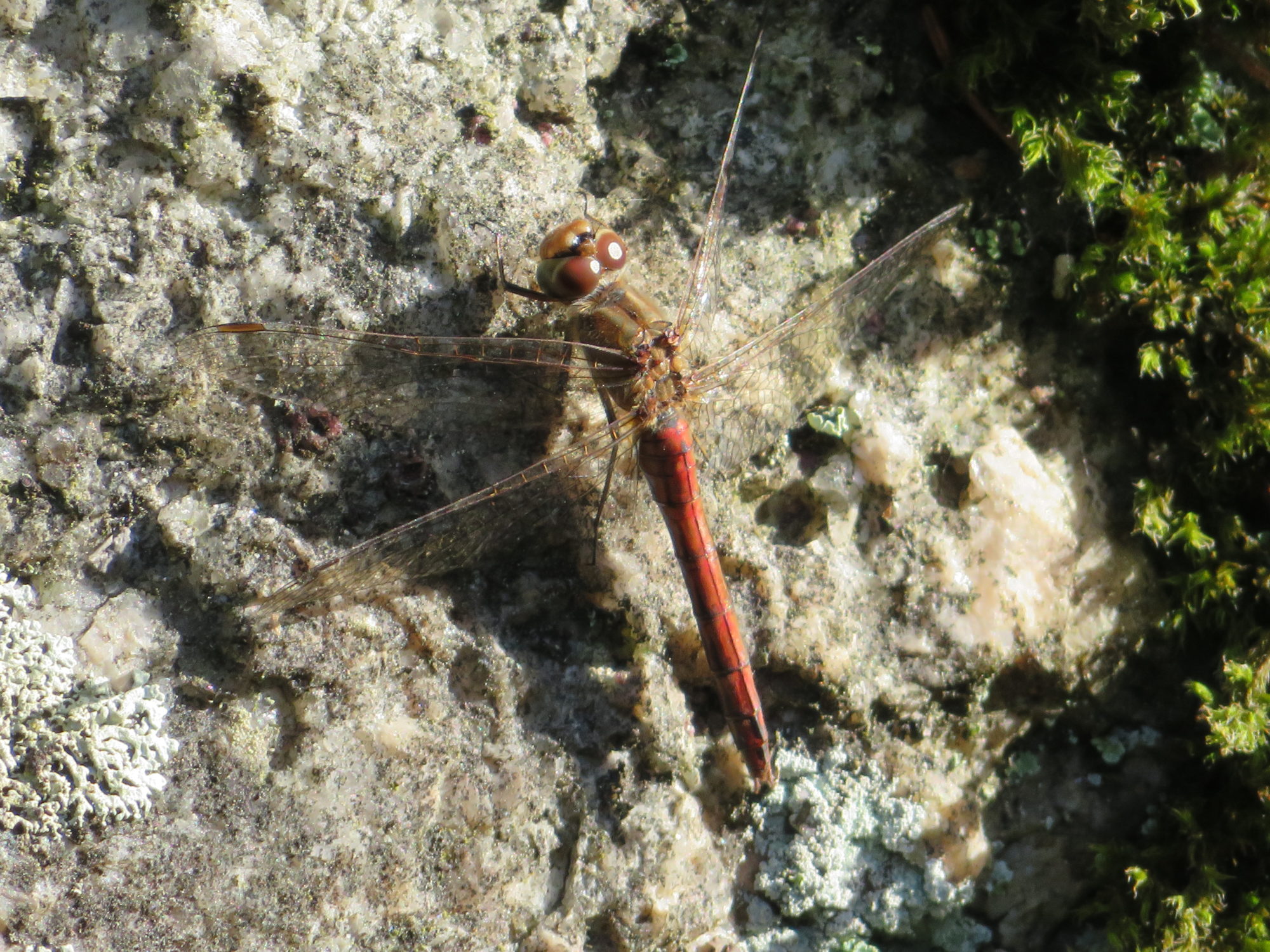 Valokuvaaja: Risto Kangassalo