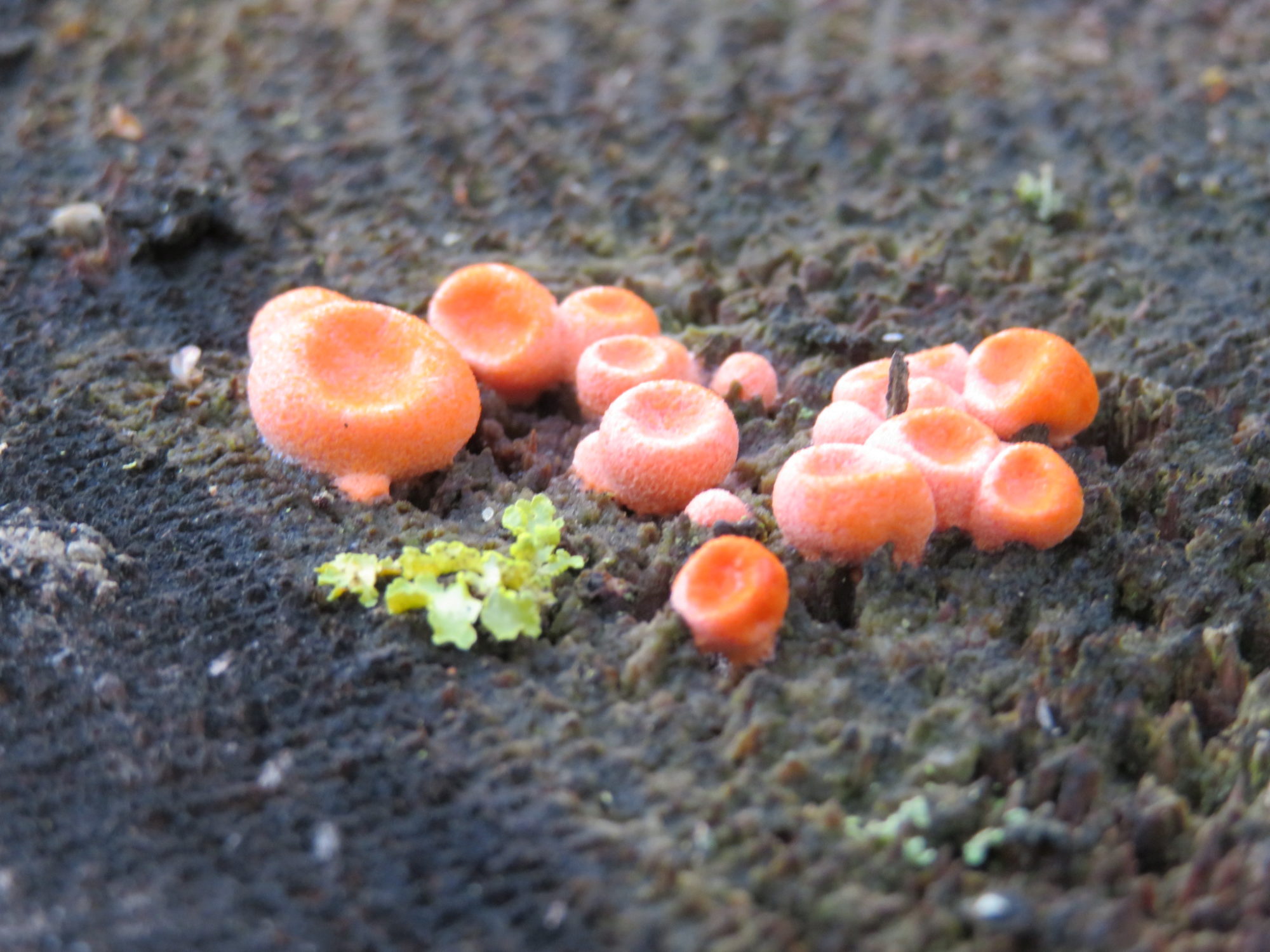 Valokuvaaja: Risto Kangassalo