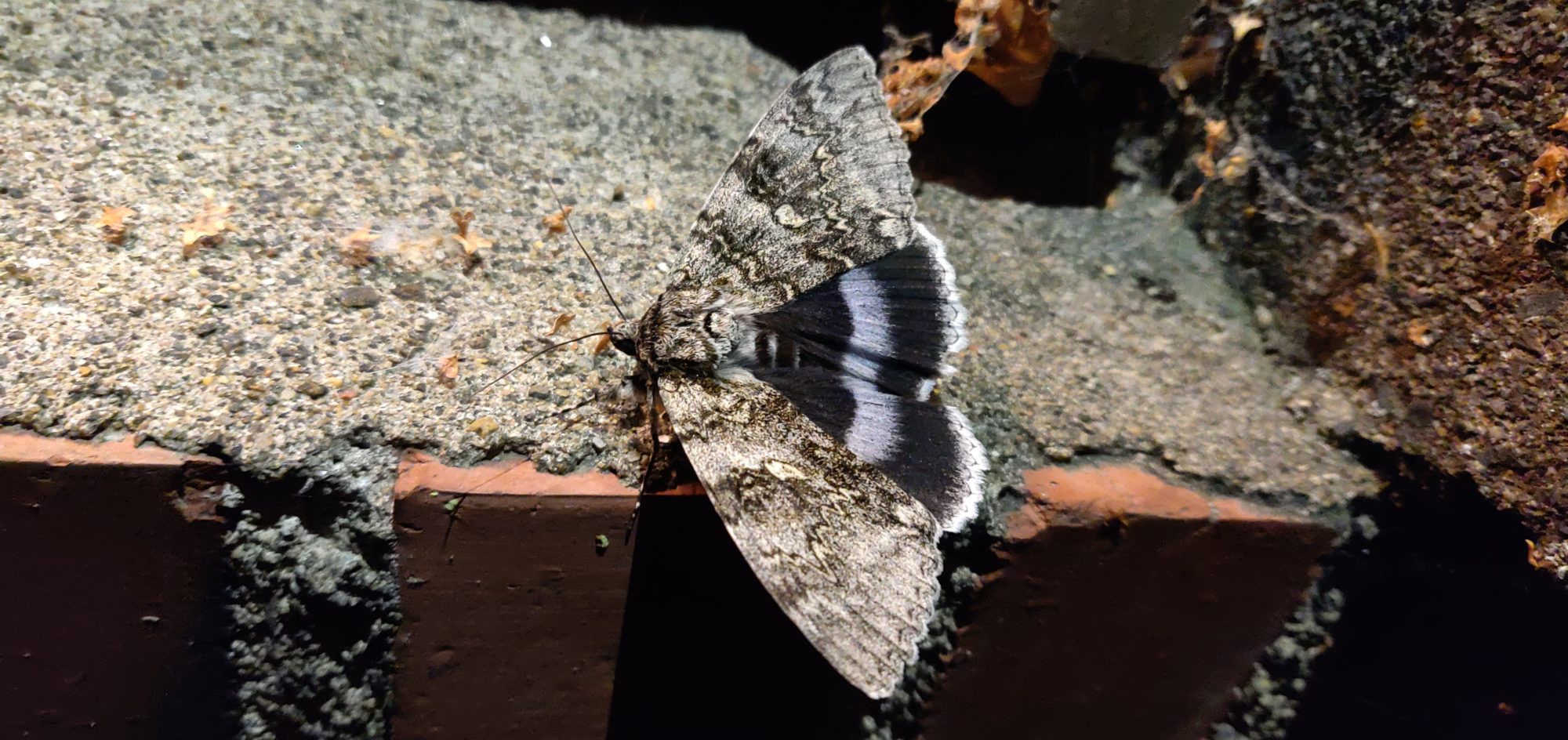 Valokuvaaja: Jim Mäenpää