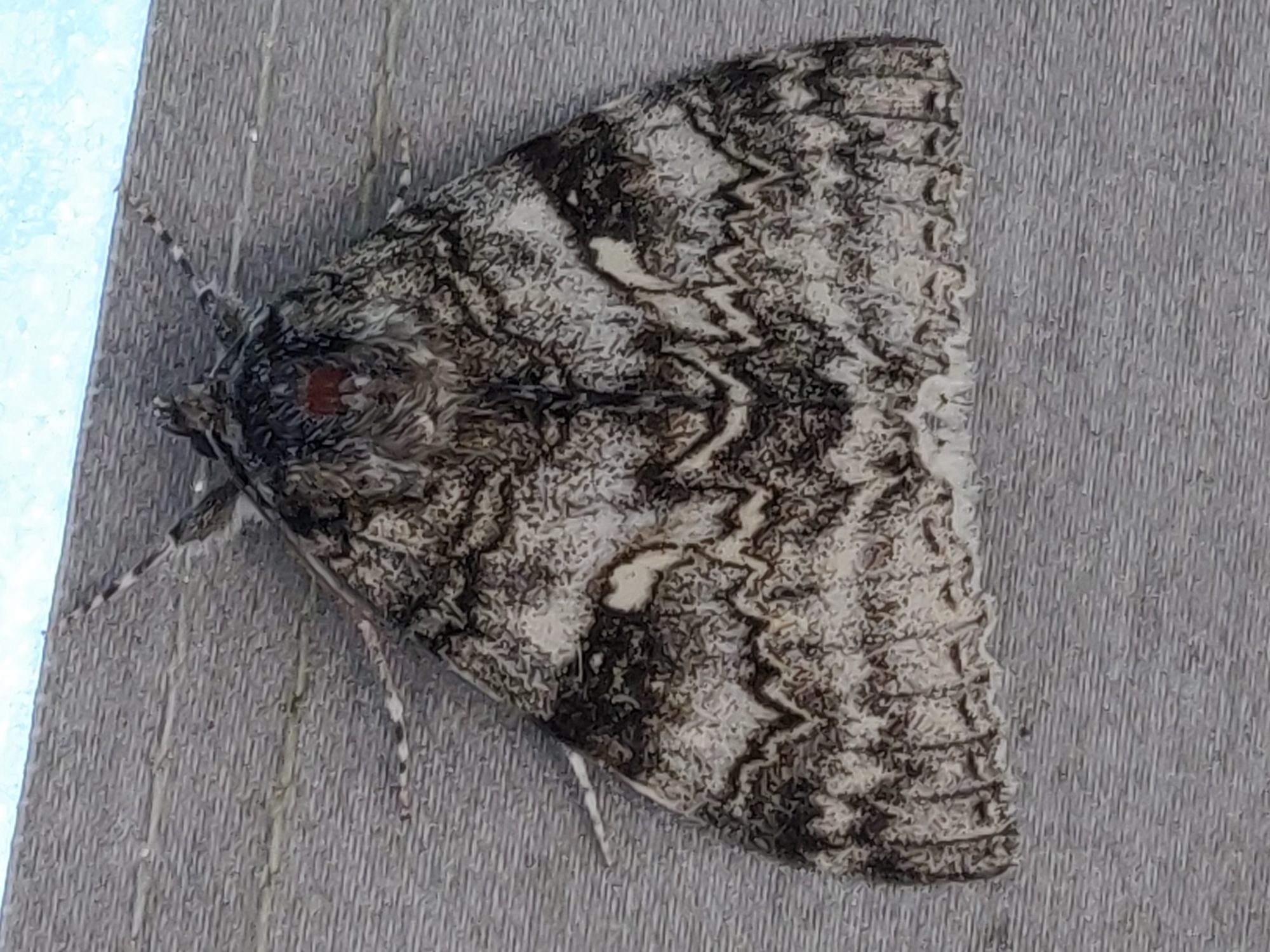 Valokuvaaja: Anna-Maija Lehtonen