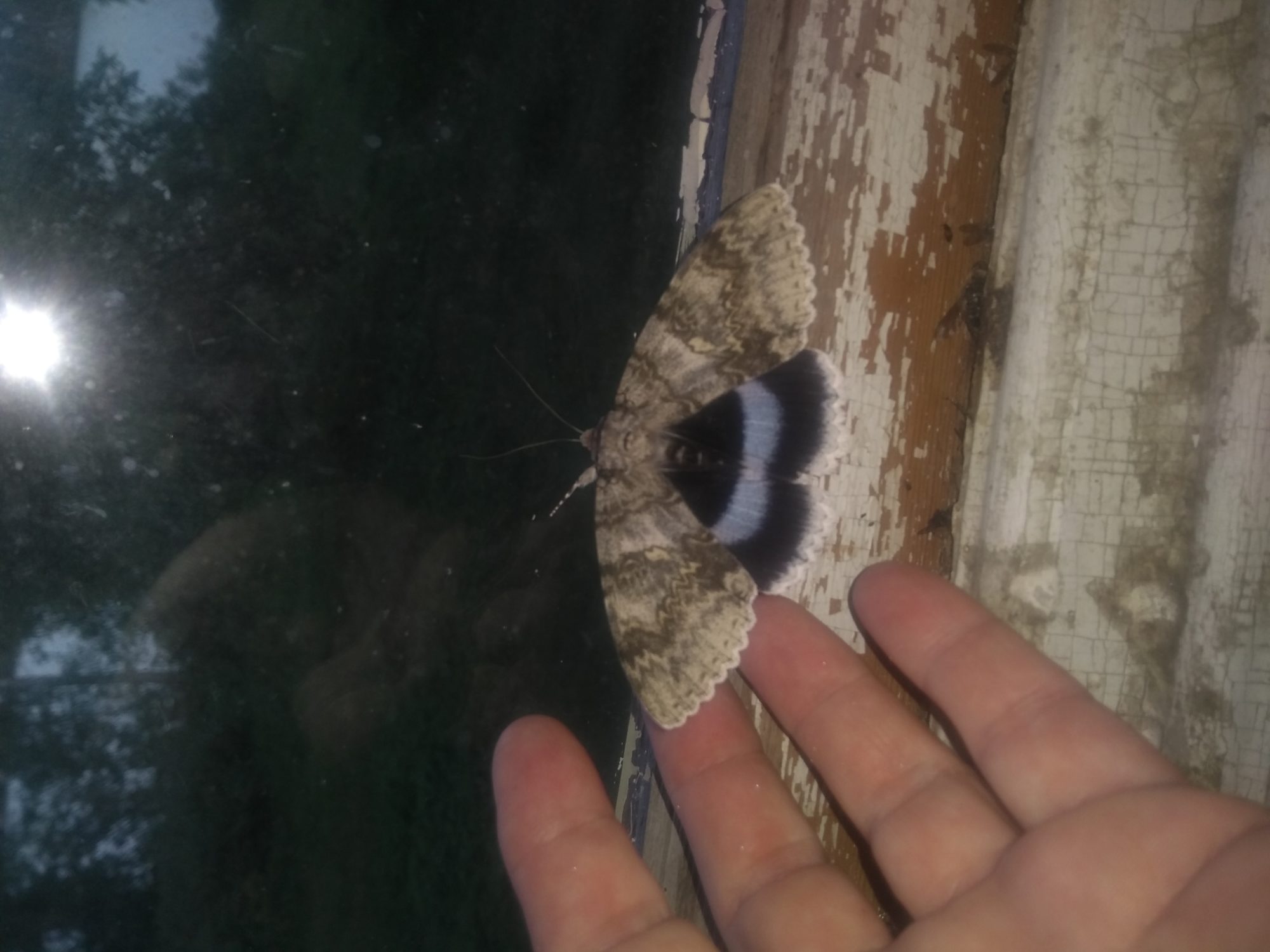 Valokuvaaja: Anna Sinerheimo