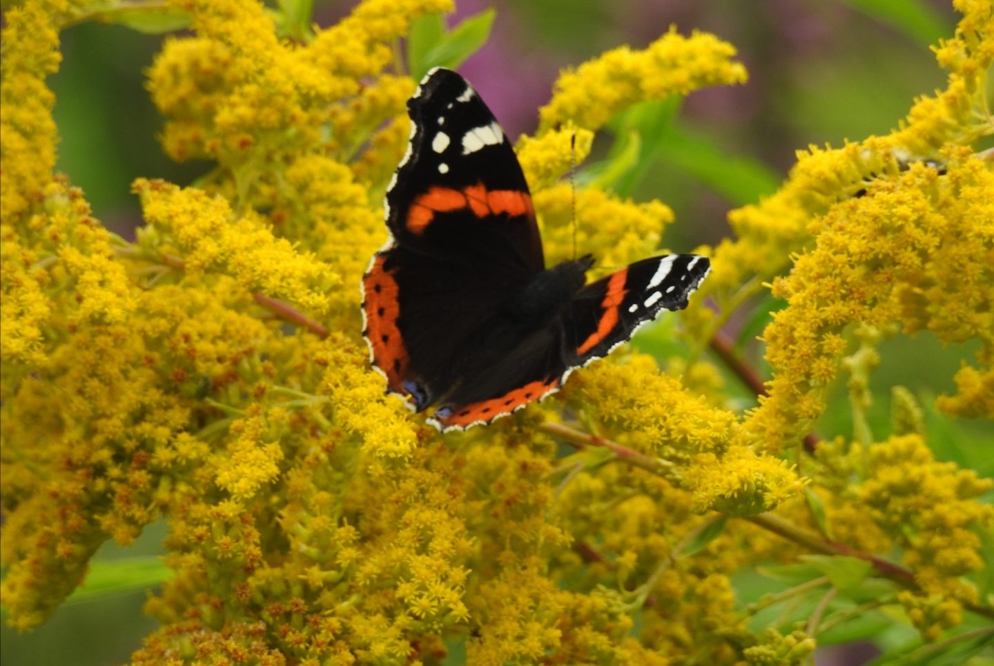 Valokuvaaja: Anne Hartikainen