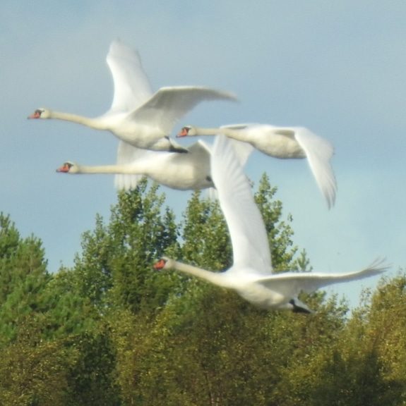 Valokuvaaja: Anne Hartikainen