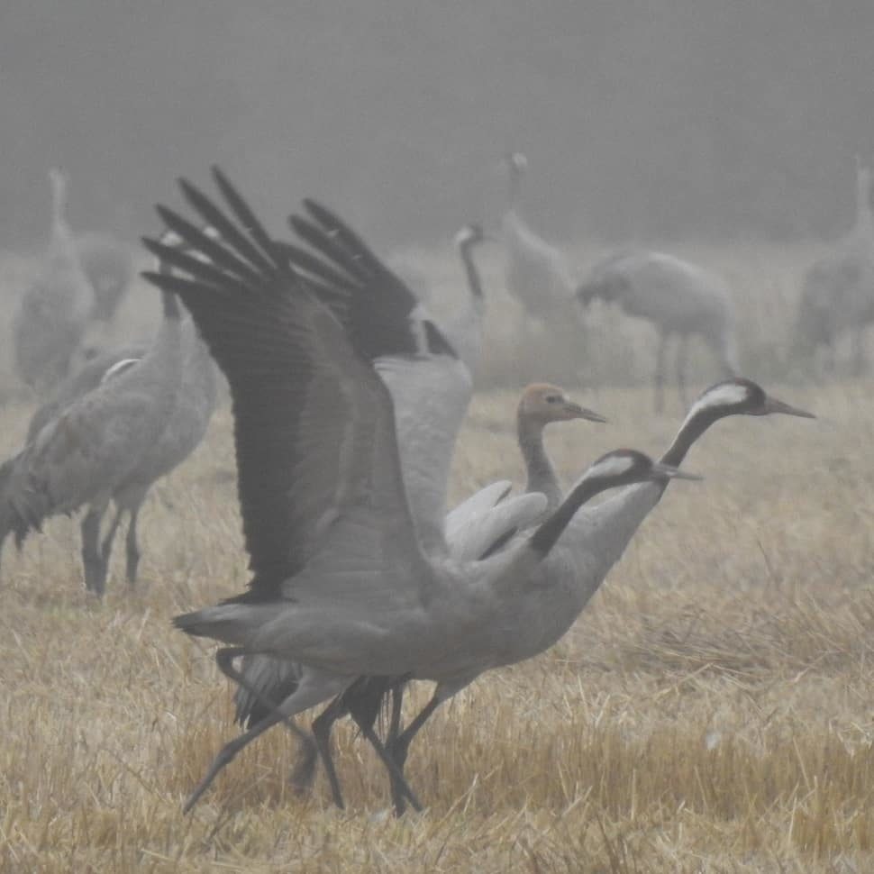 Valokuvaaja: Anne Hartikainen