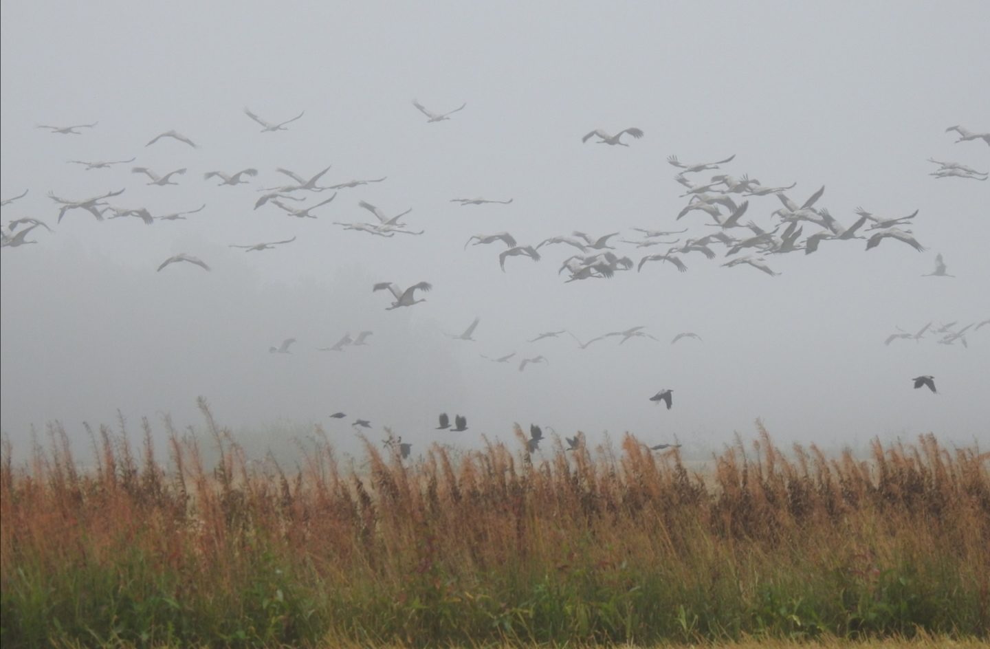 Valokuvaaja: Anne Hartikainen