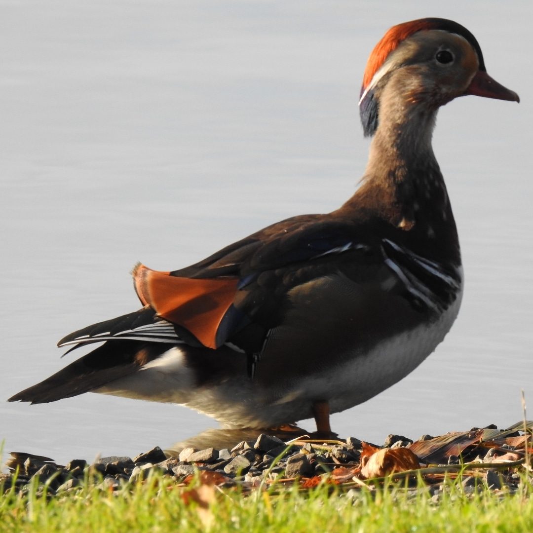 Valokuvaaja: Anne Hartikainen