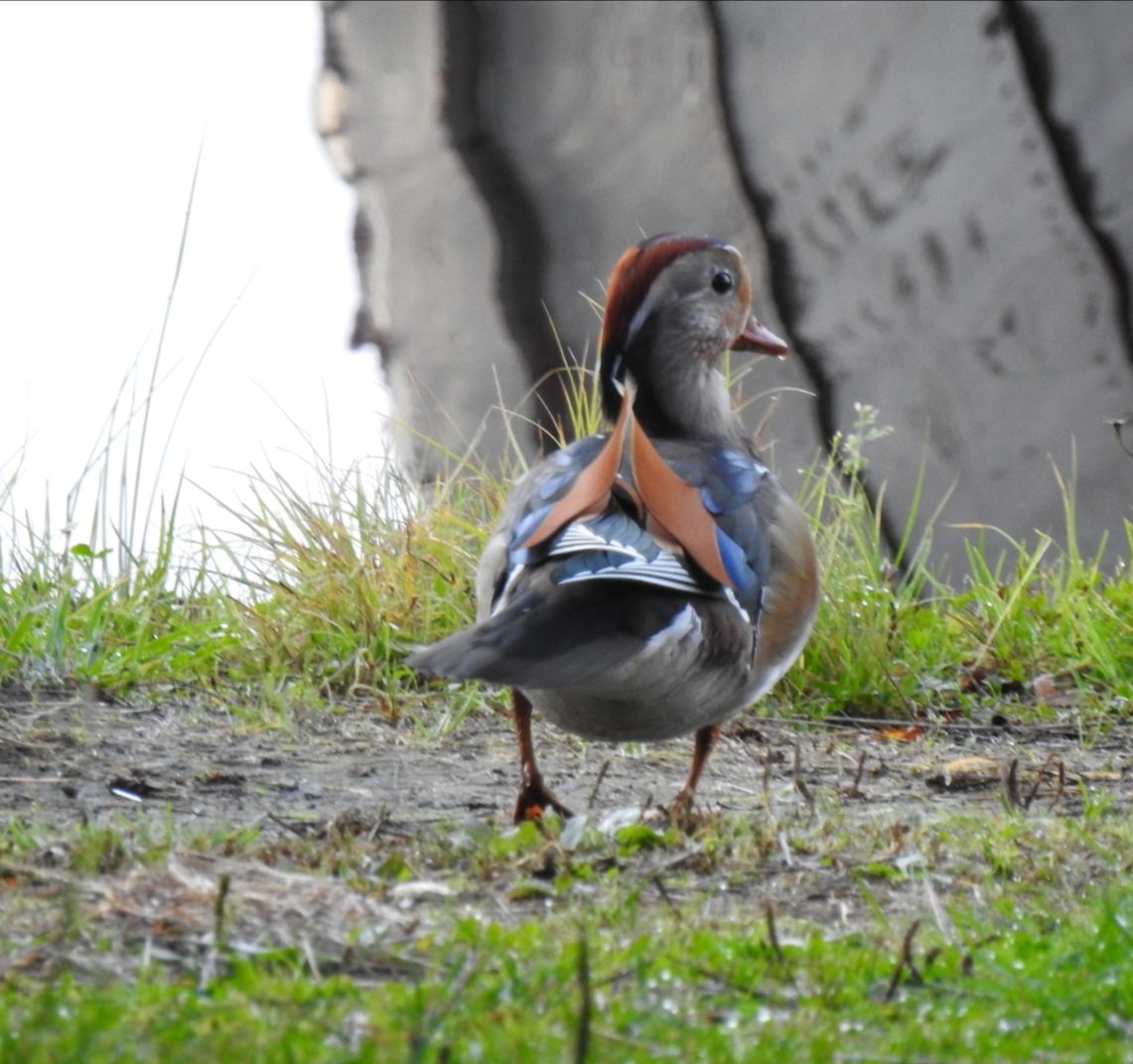 Valokuvaaja: Anne Hartikainen