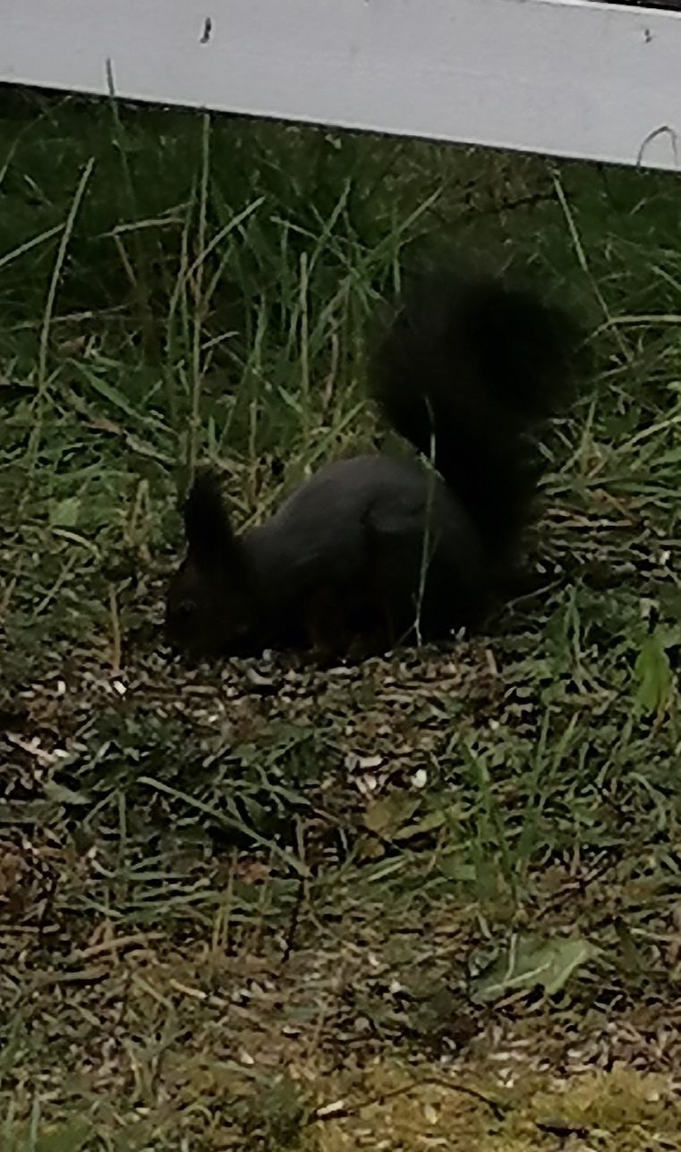 Valokuvaaja: Anne Mäkikorpi