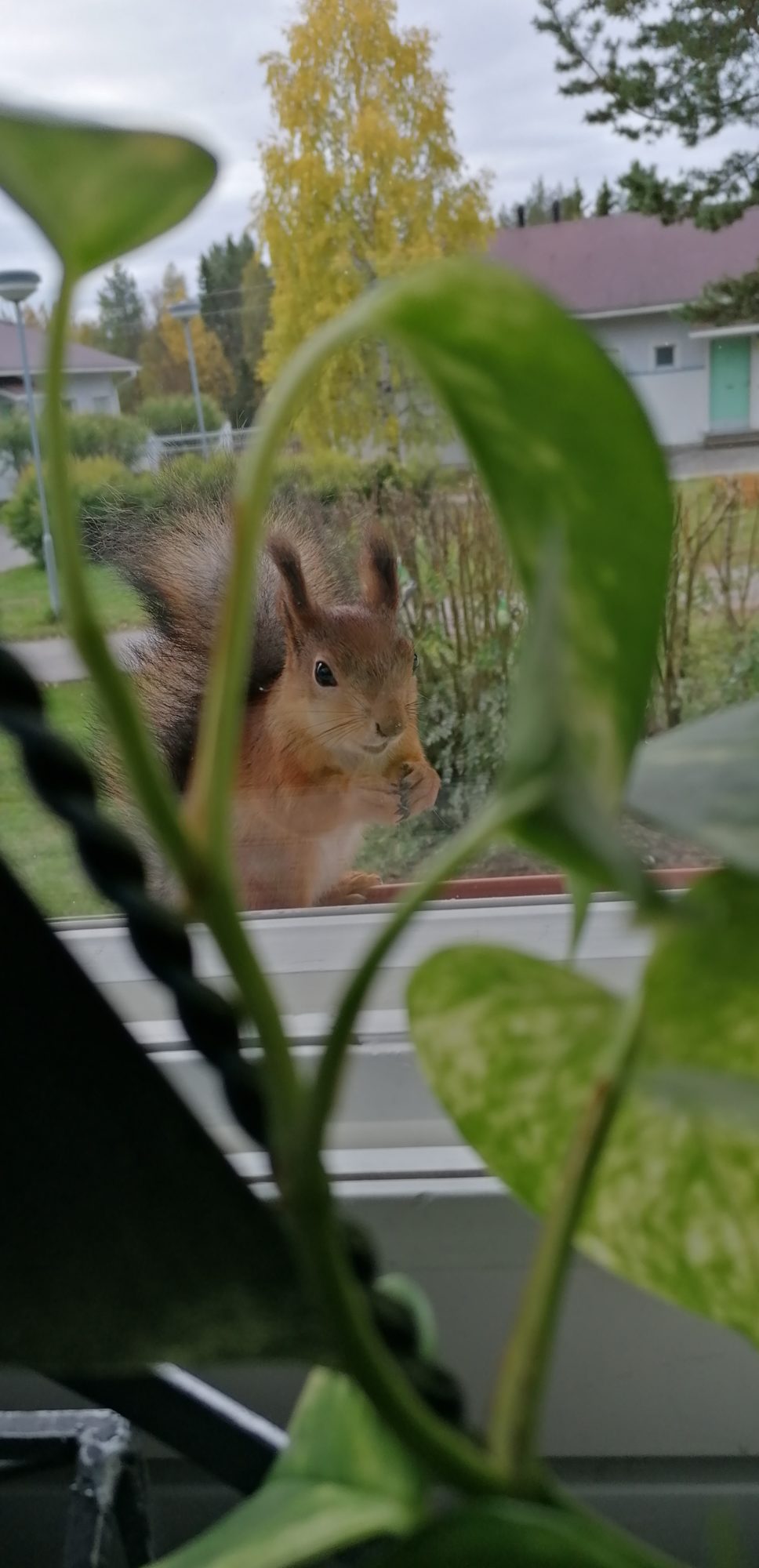 Valokuvaaja: Anne-Mari Mäkikorpi