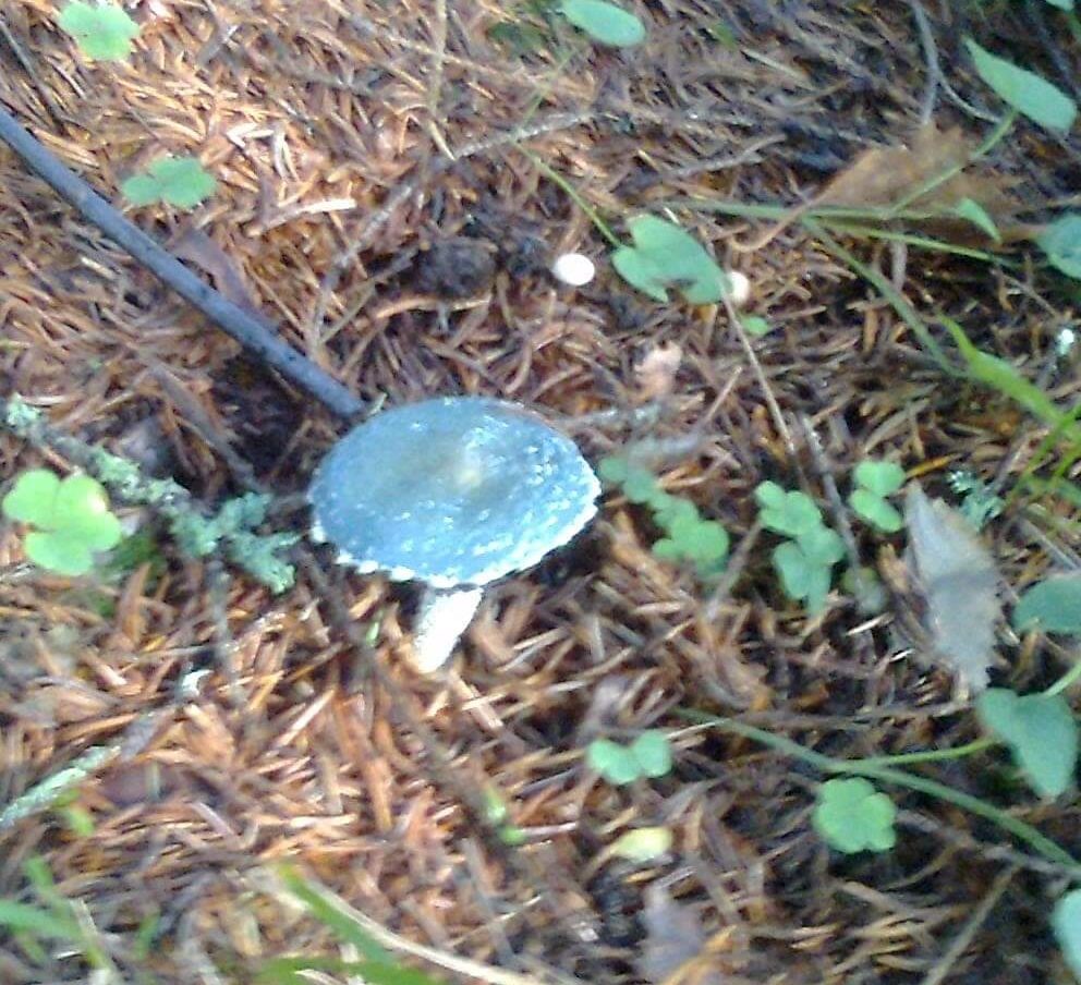 Valokuvaaja: mia khamis