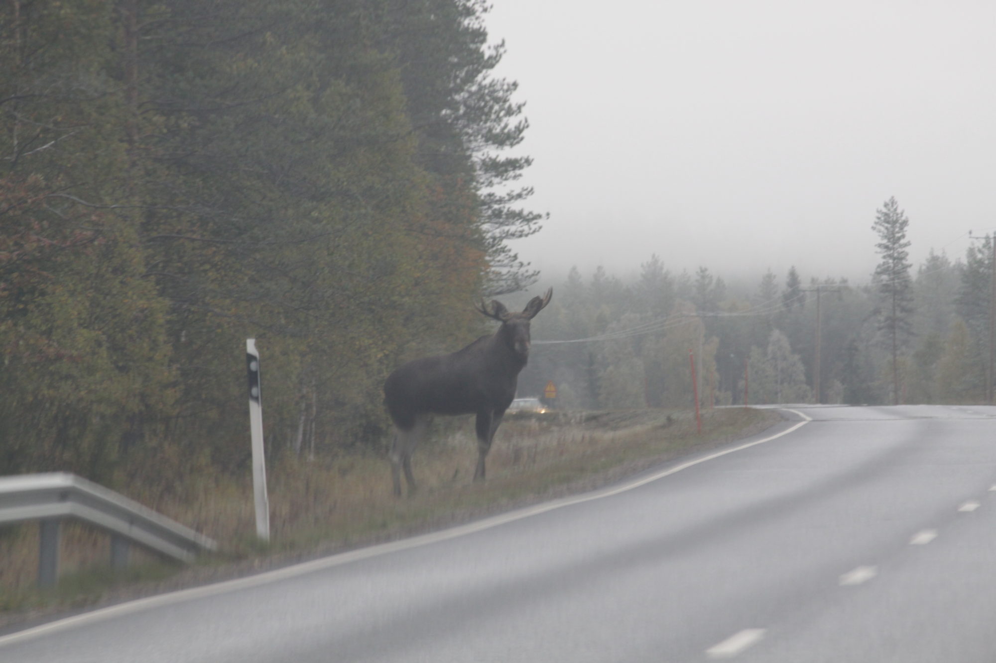 Valokuvaaja: Kaarina Heiskanen