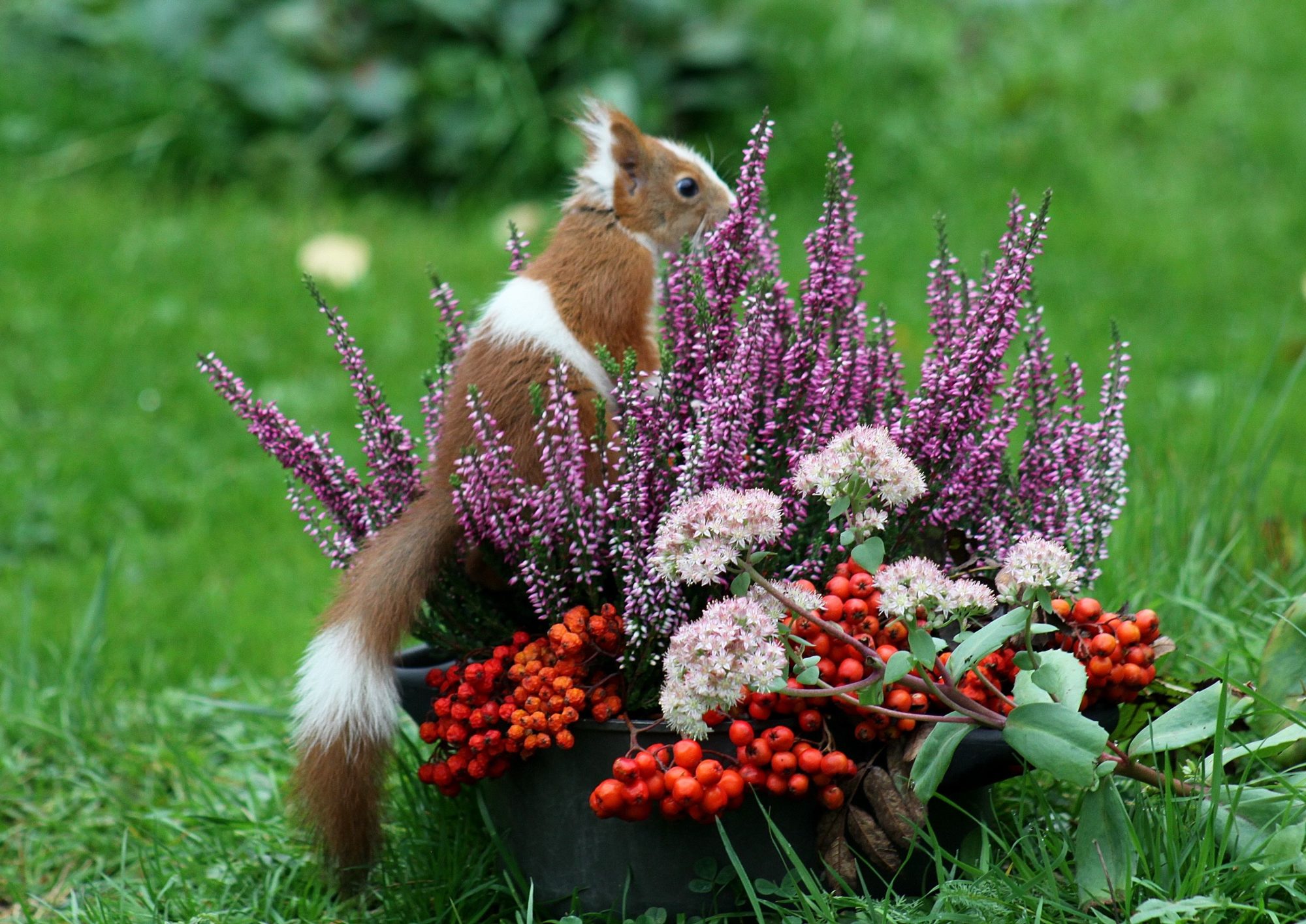 Valokuvaaja: Pirkko Siukonen