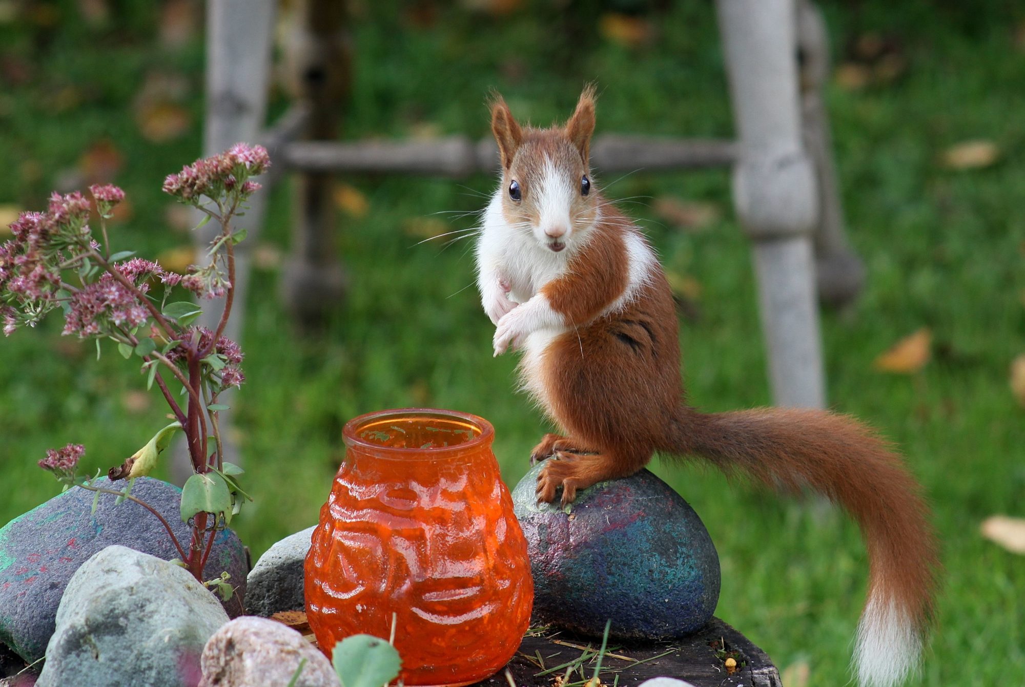 Valokuvaaja: Pirkko Siukonen