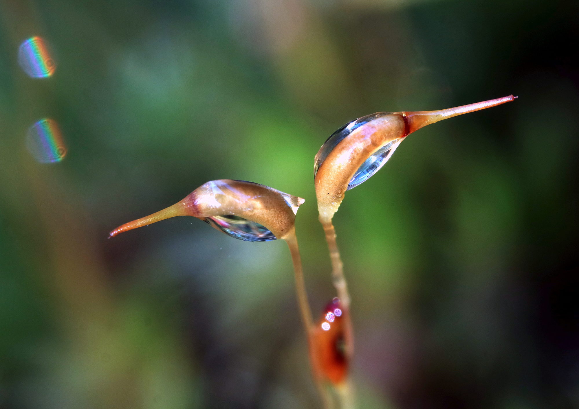 Valokuvaaja: hannu Rasiranta