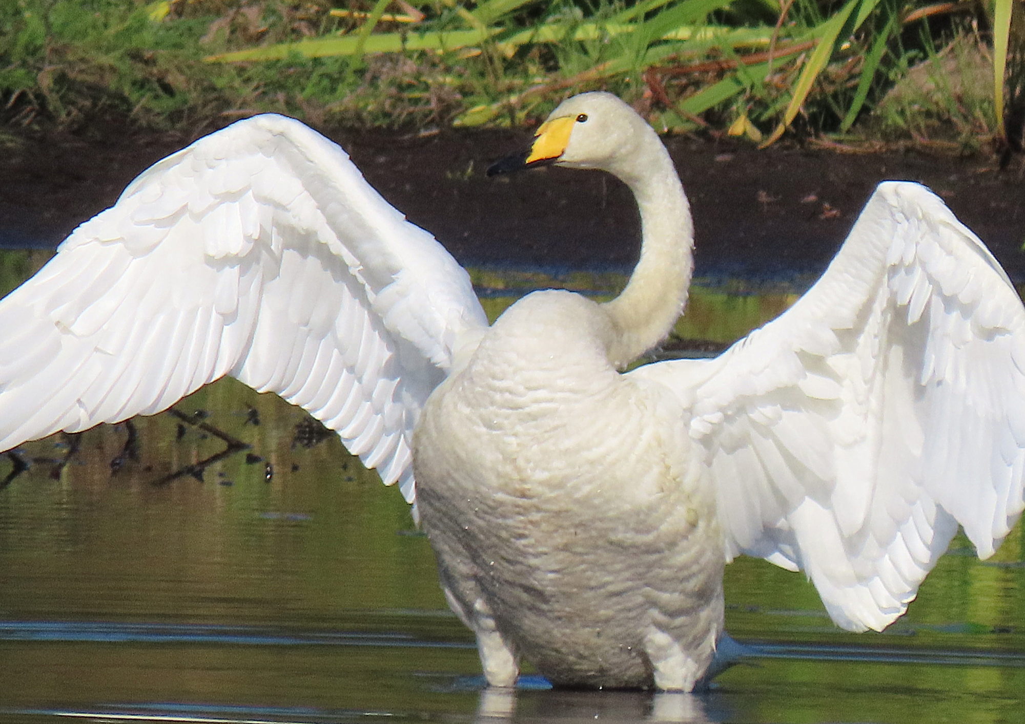 Valokuvaaja: Vaittinen Jukka