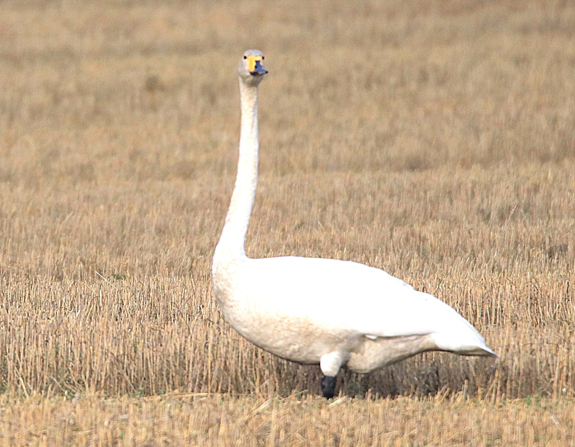 Valokuvaaja: Irja Lehtinen