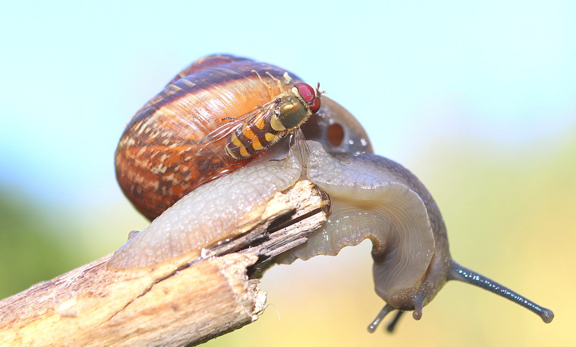 Valokuvaaja: Irja Lehtinen Valokuvaaja: Irja Lehtinen