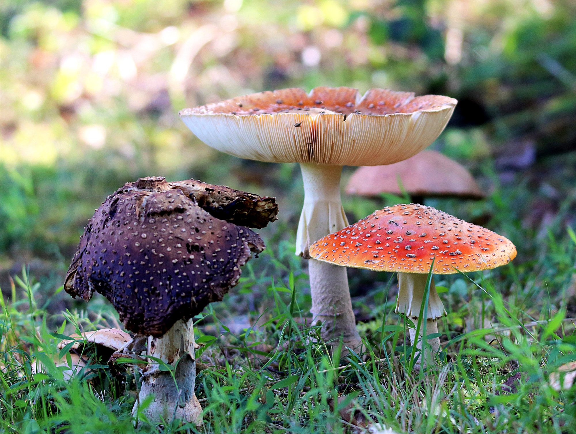 Valokuvaaja: Irja Lehtinen