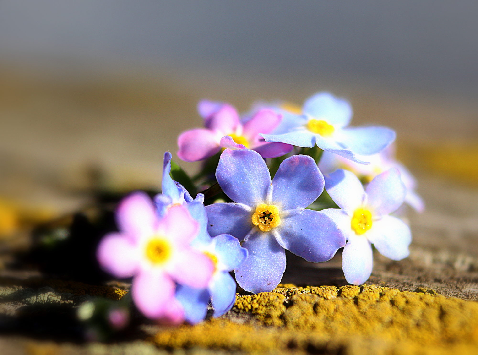 Valokuvaaja: Irja Lehtinen