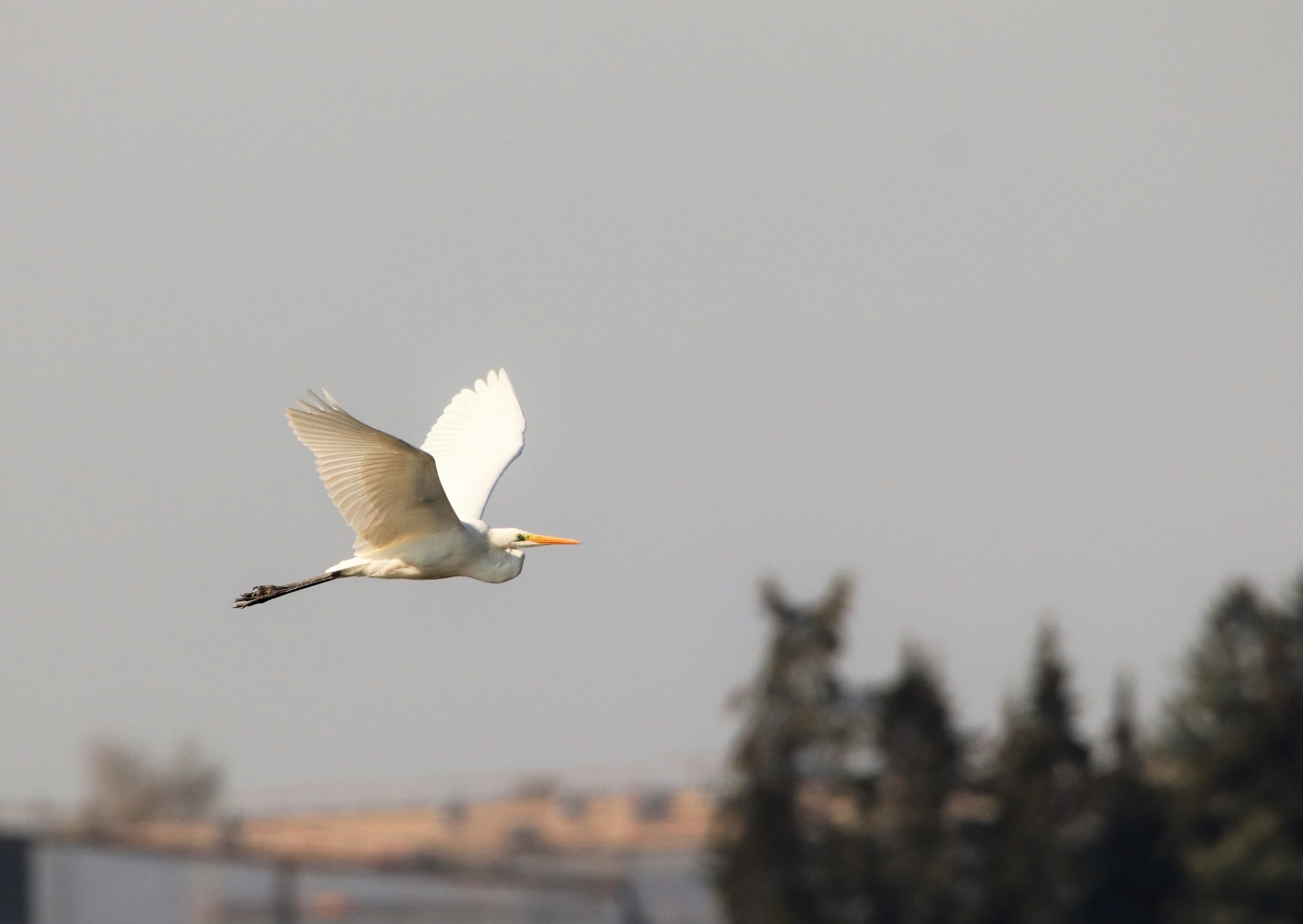 Valokuvaaja: Irja Lehtinen