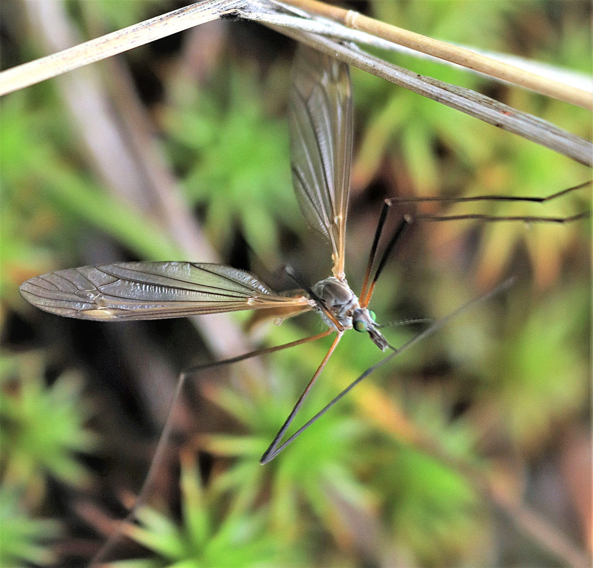 Valokuvaaja: Irja Lehtinen