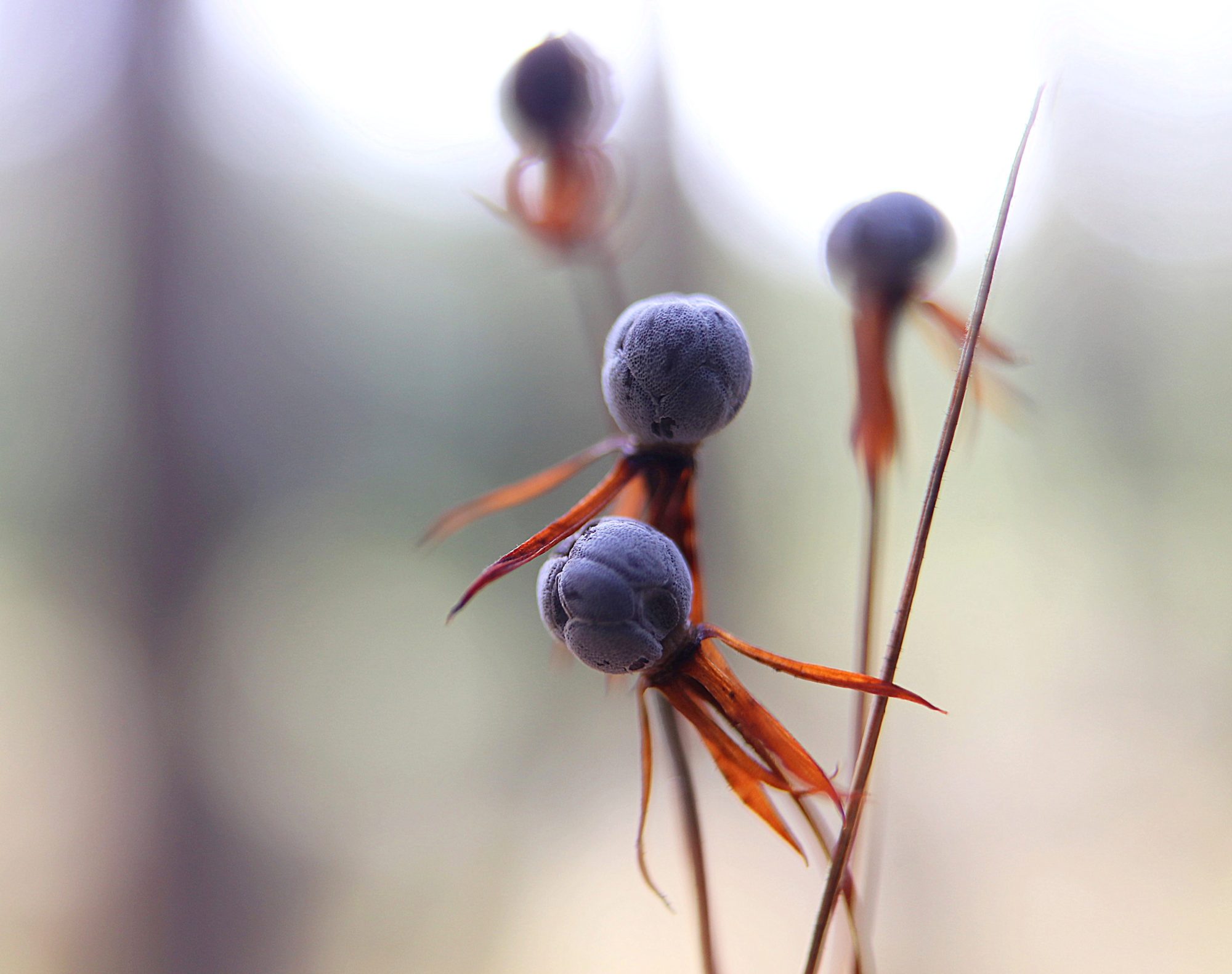 Valokuvaaja: Irja Lehtinen