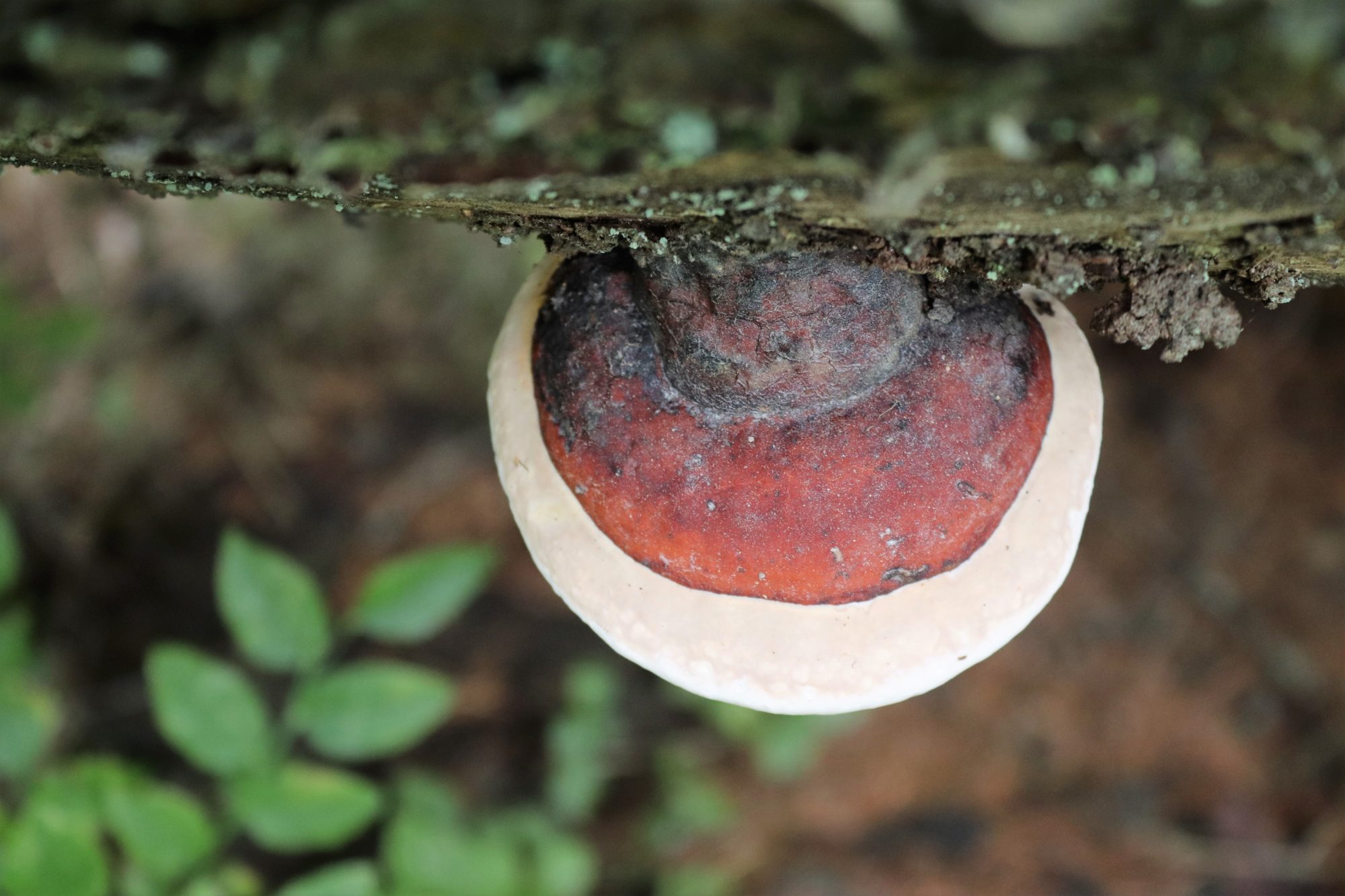 Valokuvaaja: Irja Lehtinen