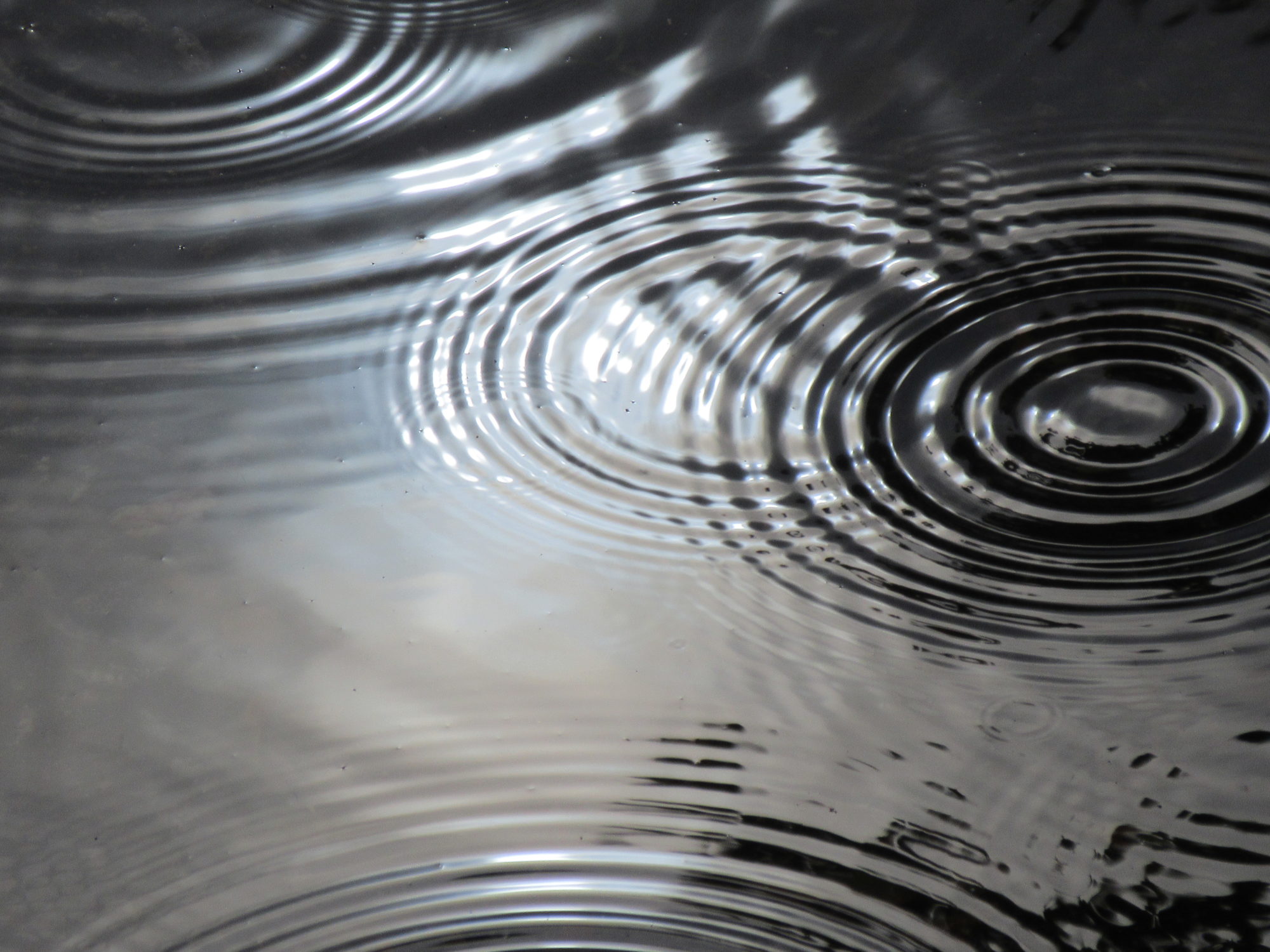 Valokuvaaja: Terttu Rantanen Valokuvaaja: Terttu Rantanen