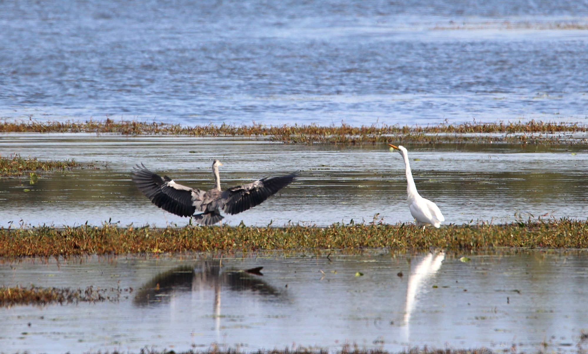 Valokuvaaja: Irja Lehtinen
