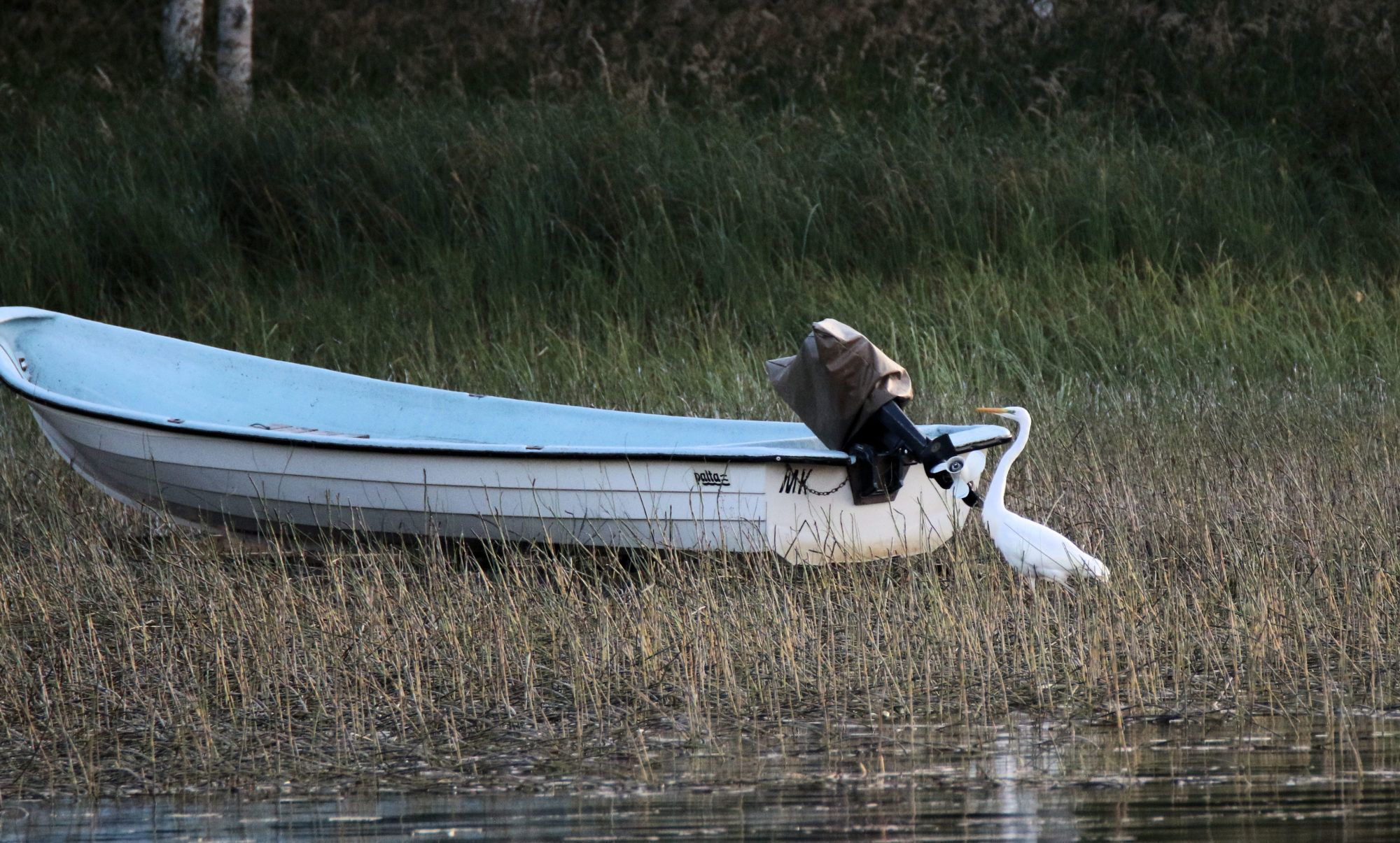 Valokuvaaja: Ahti Keränen Valokuvaaja: Ahti Keränen