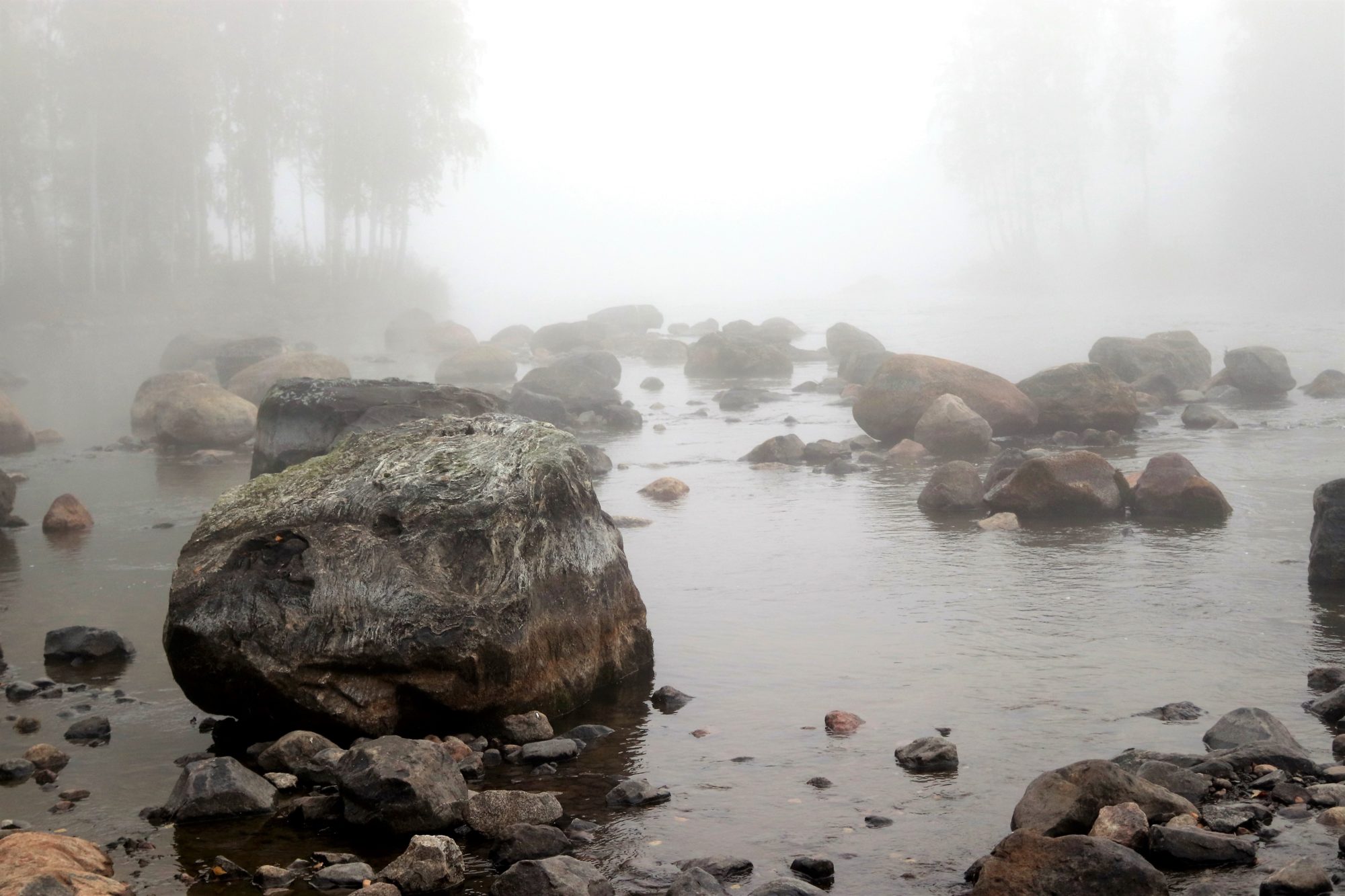 Valokuvaaja: Irja Lehtinen Valokuvaaja: Irja Lehtinen