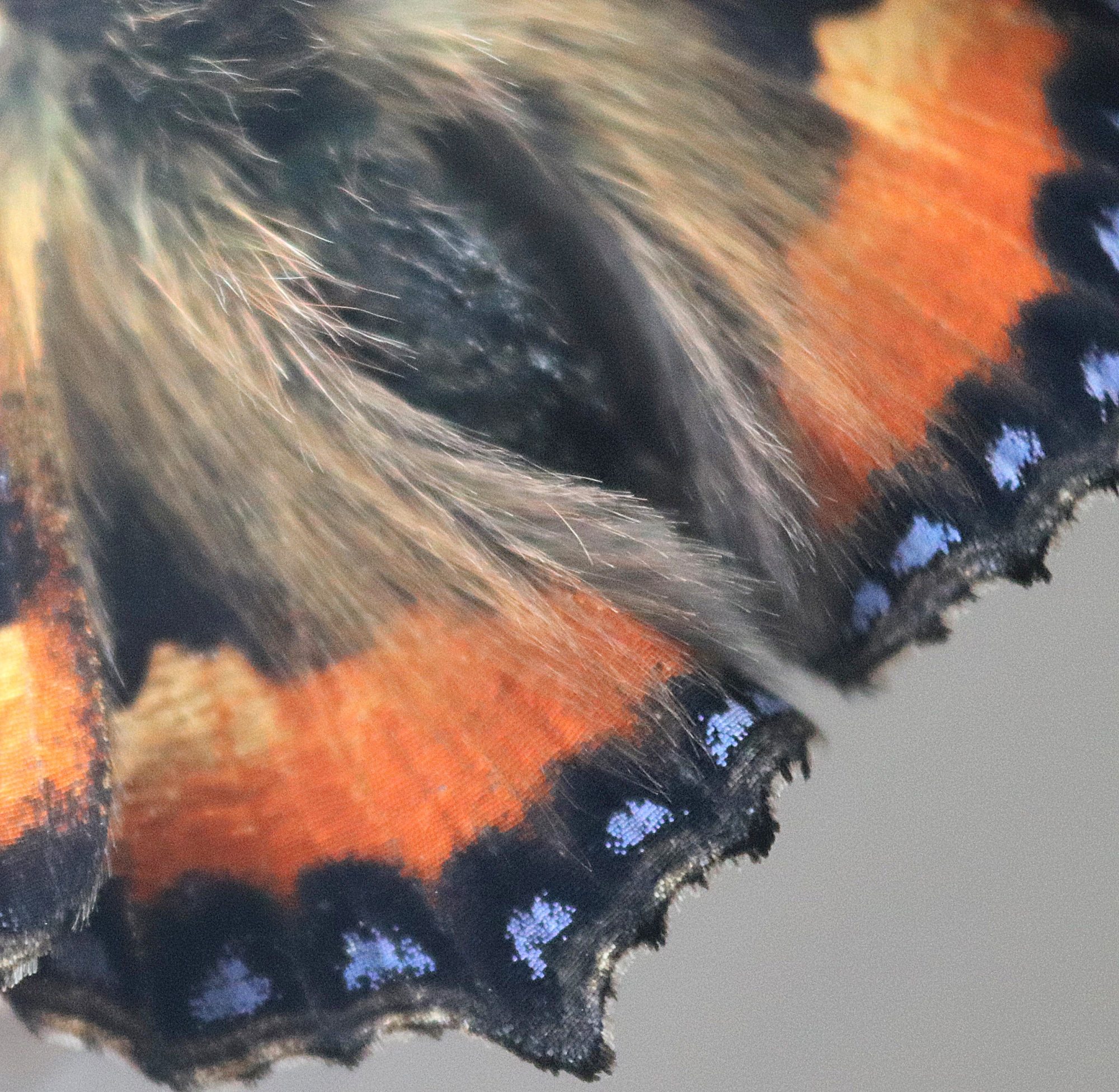 Valokuvaaja: Irja Lehtinen