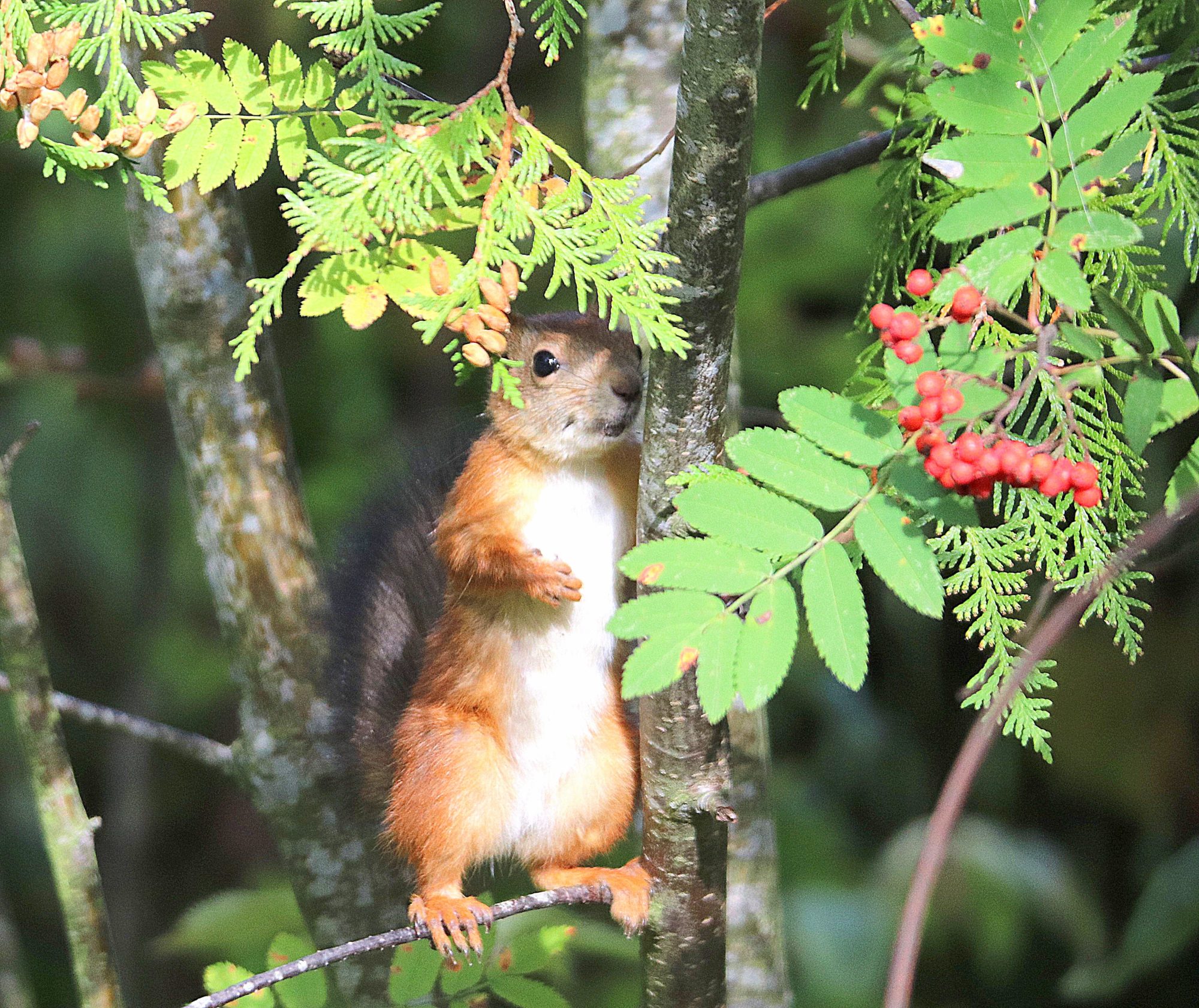 Valokuvaaja: Irja Lehtinen