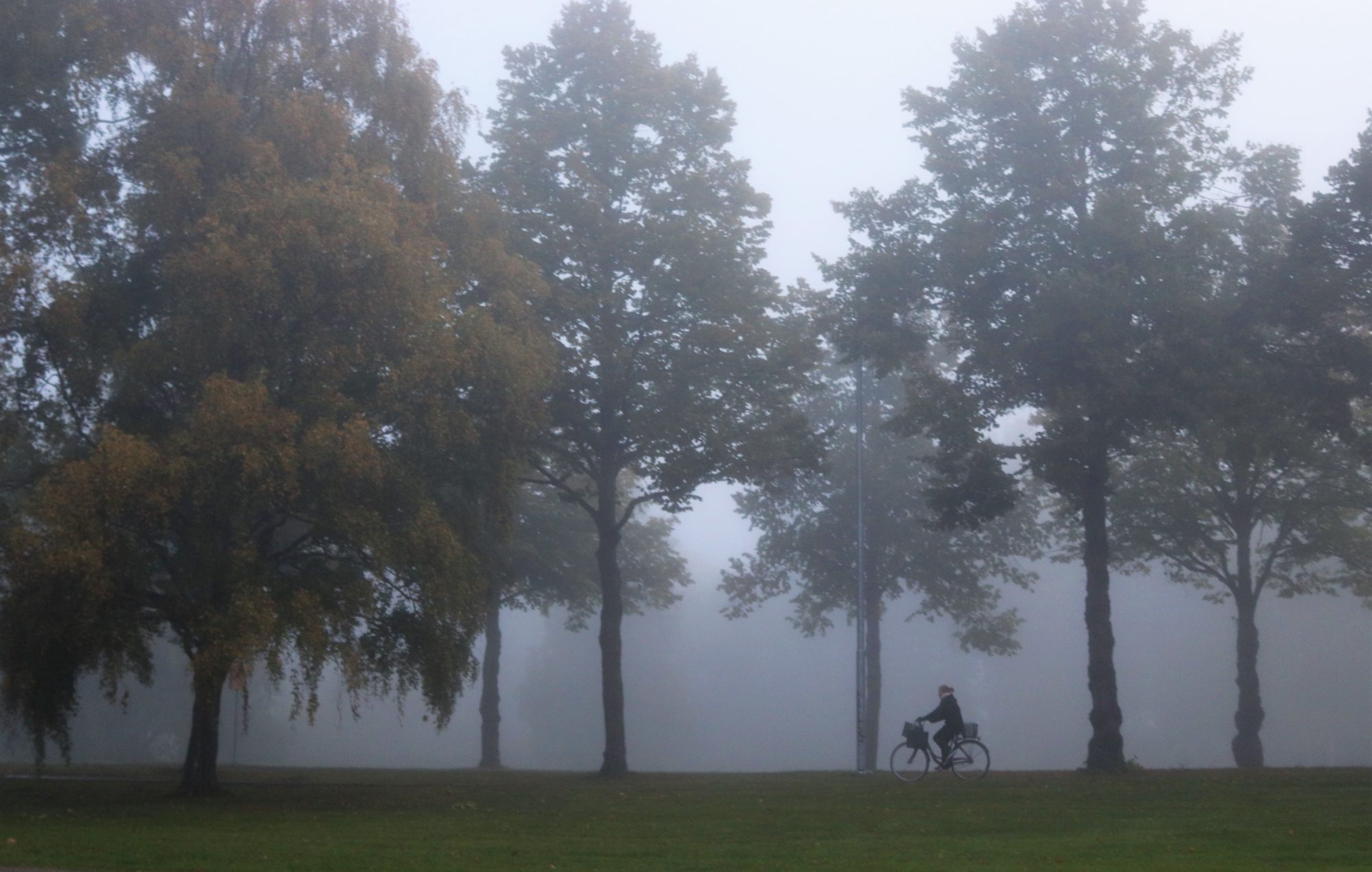 Valokuvaaja: Irja Lehtinen