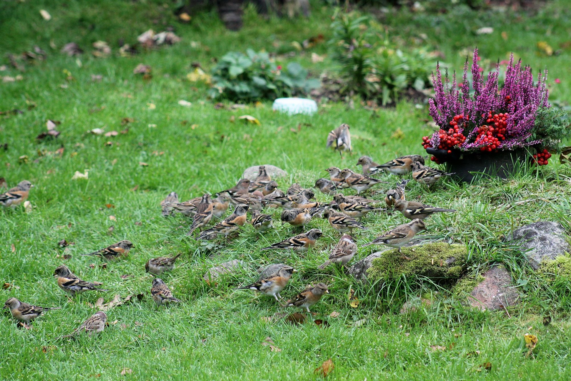 Valokuvaaja: Pirkko Siukonen