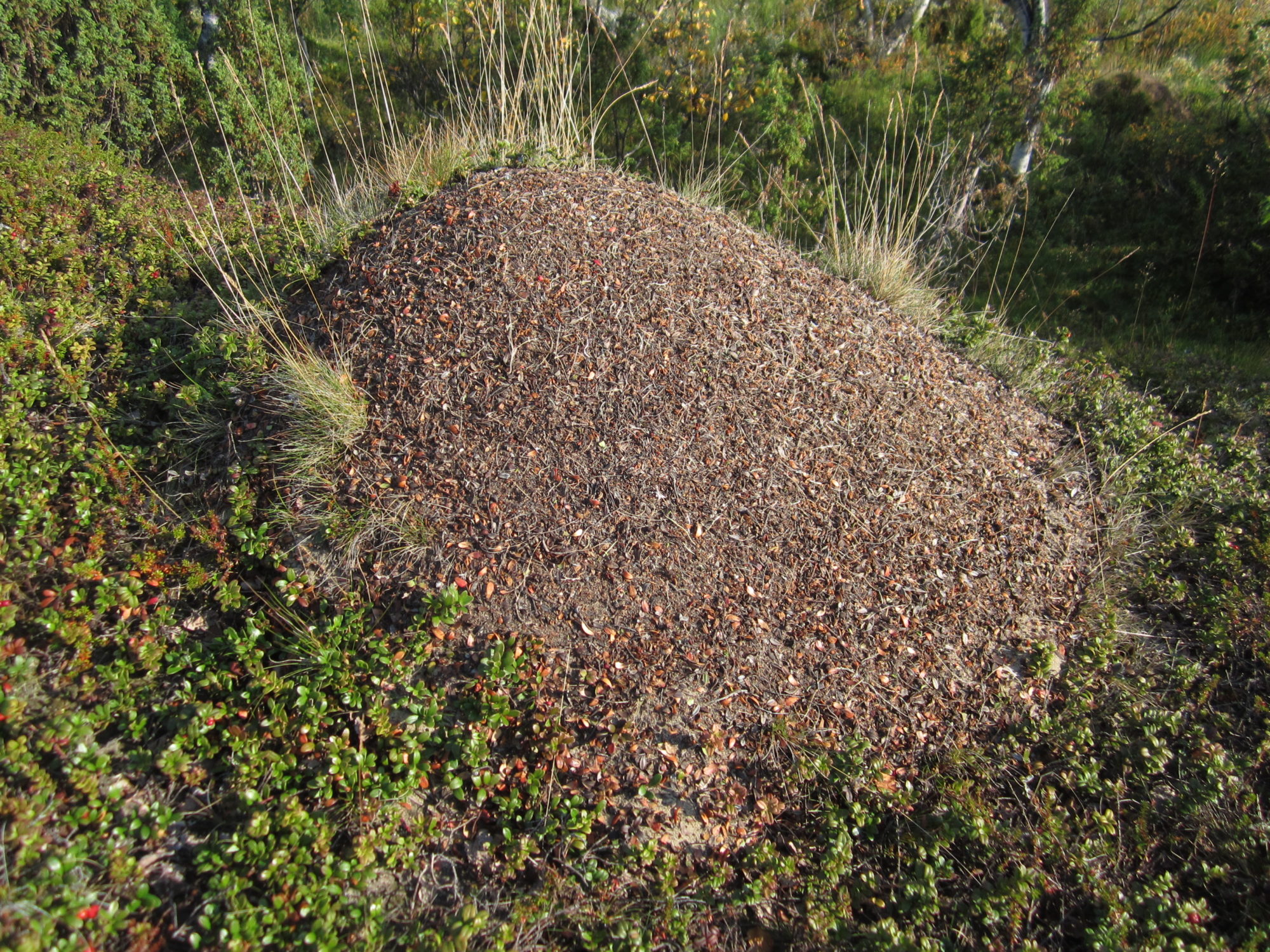 Valokuvaaja: Marita Portin