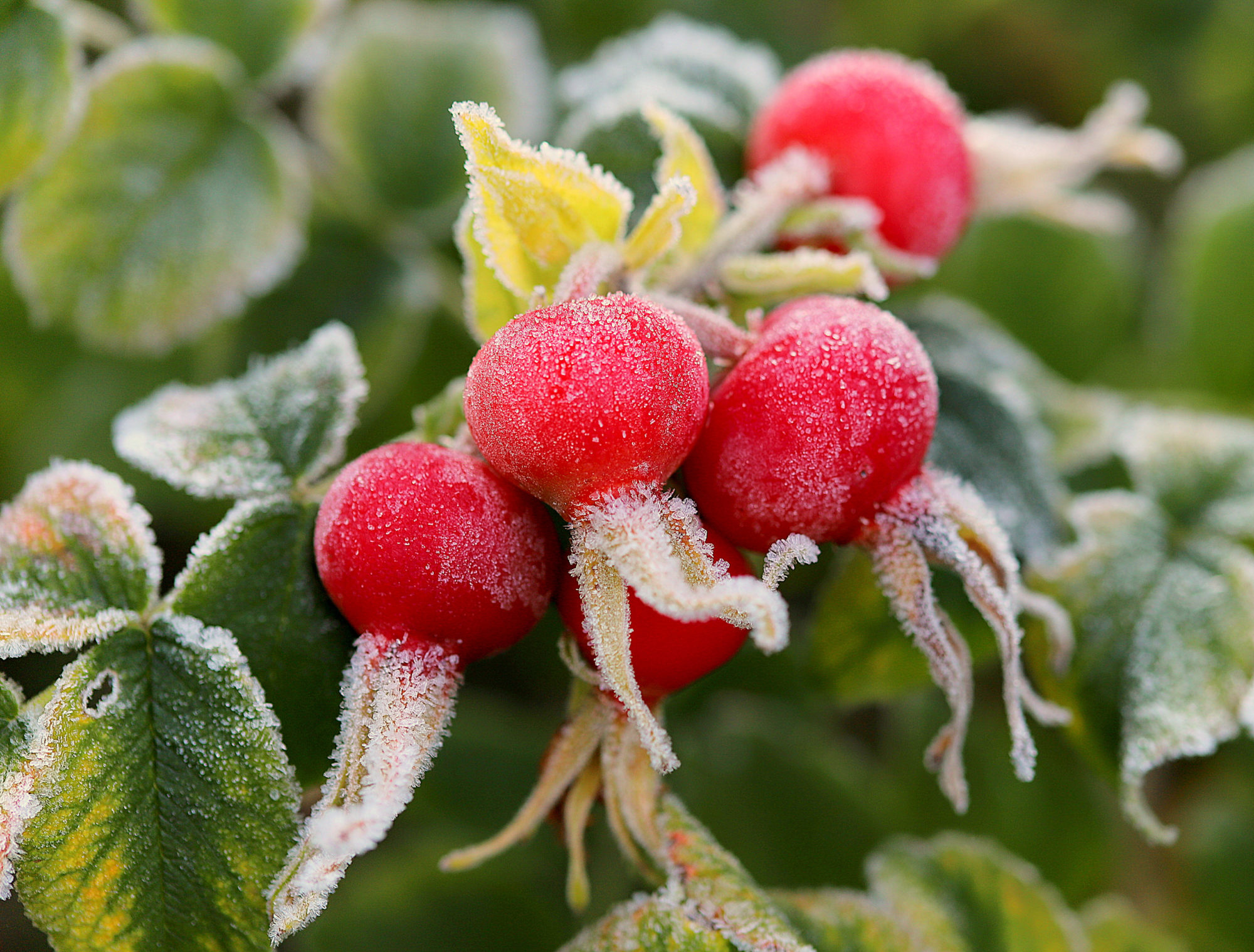 Valokuvaaja: sirpa jyske