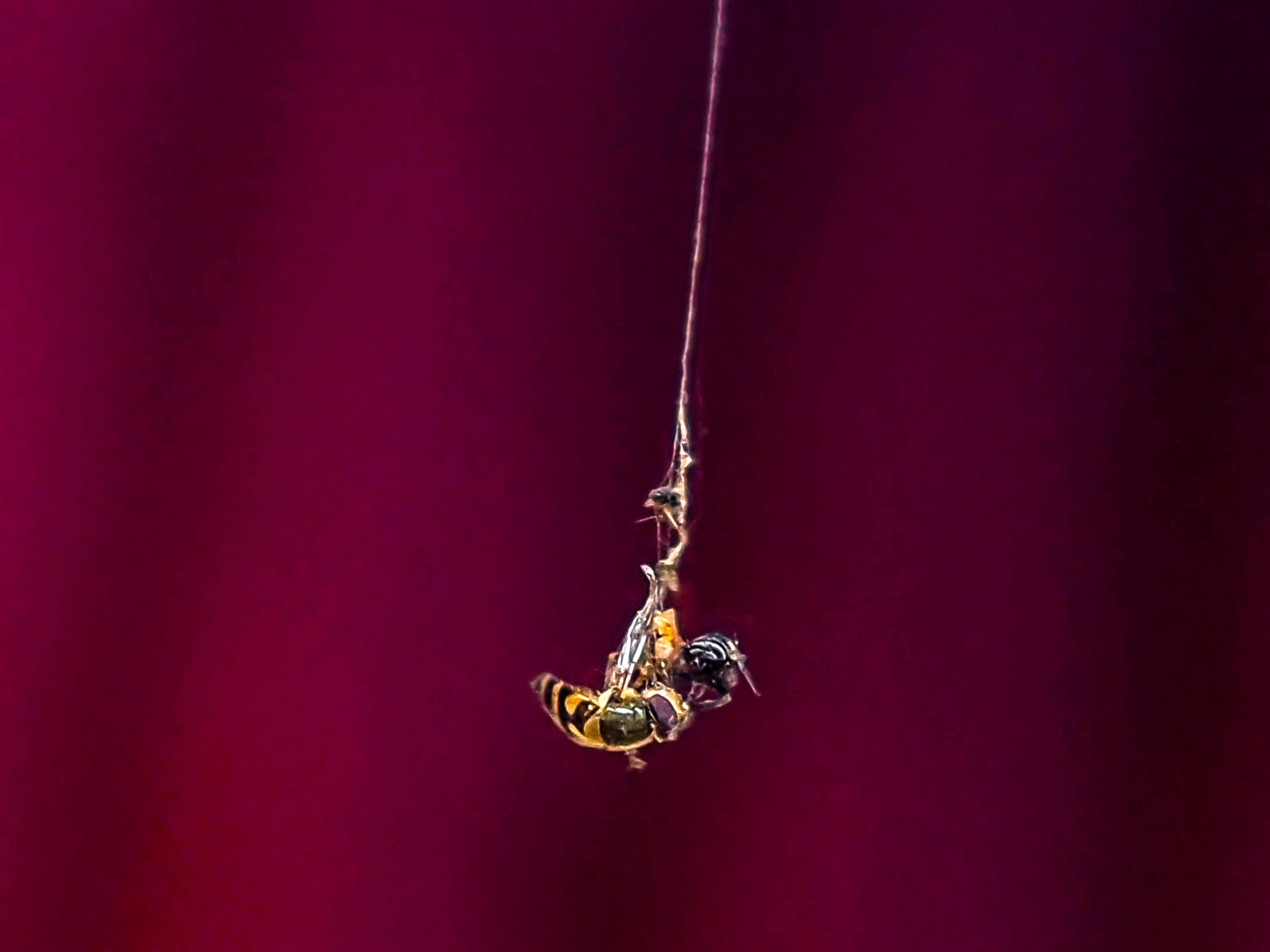 Valokuvaaja: Aki Jalava