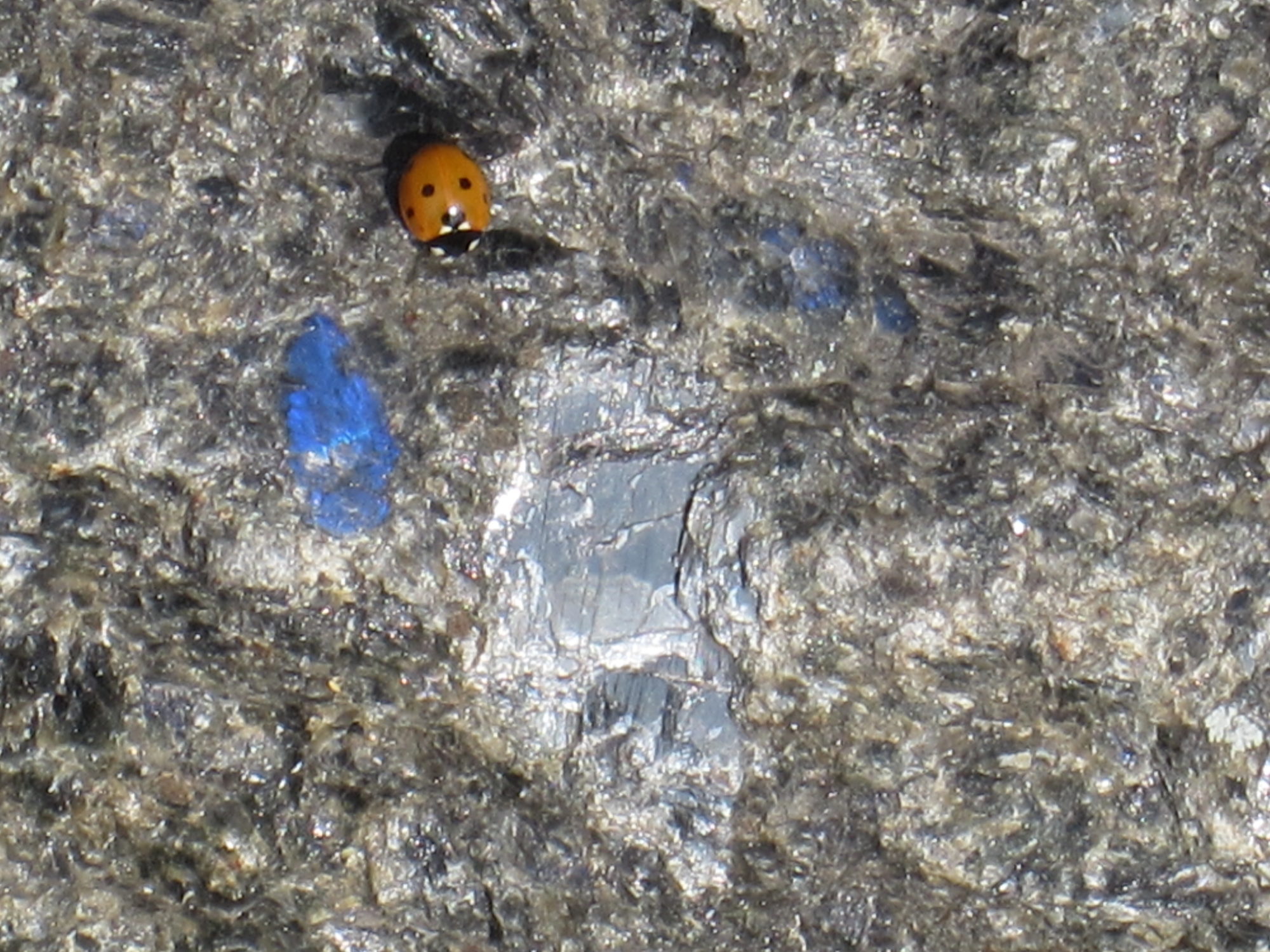 Valokuvaaja: Marita Portin