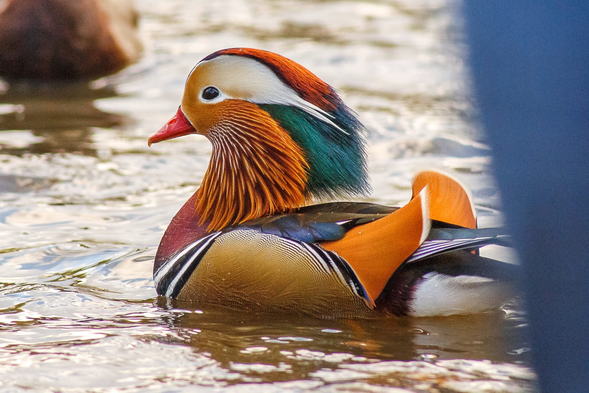 Valokuvaaja: Antti Toivanen