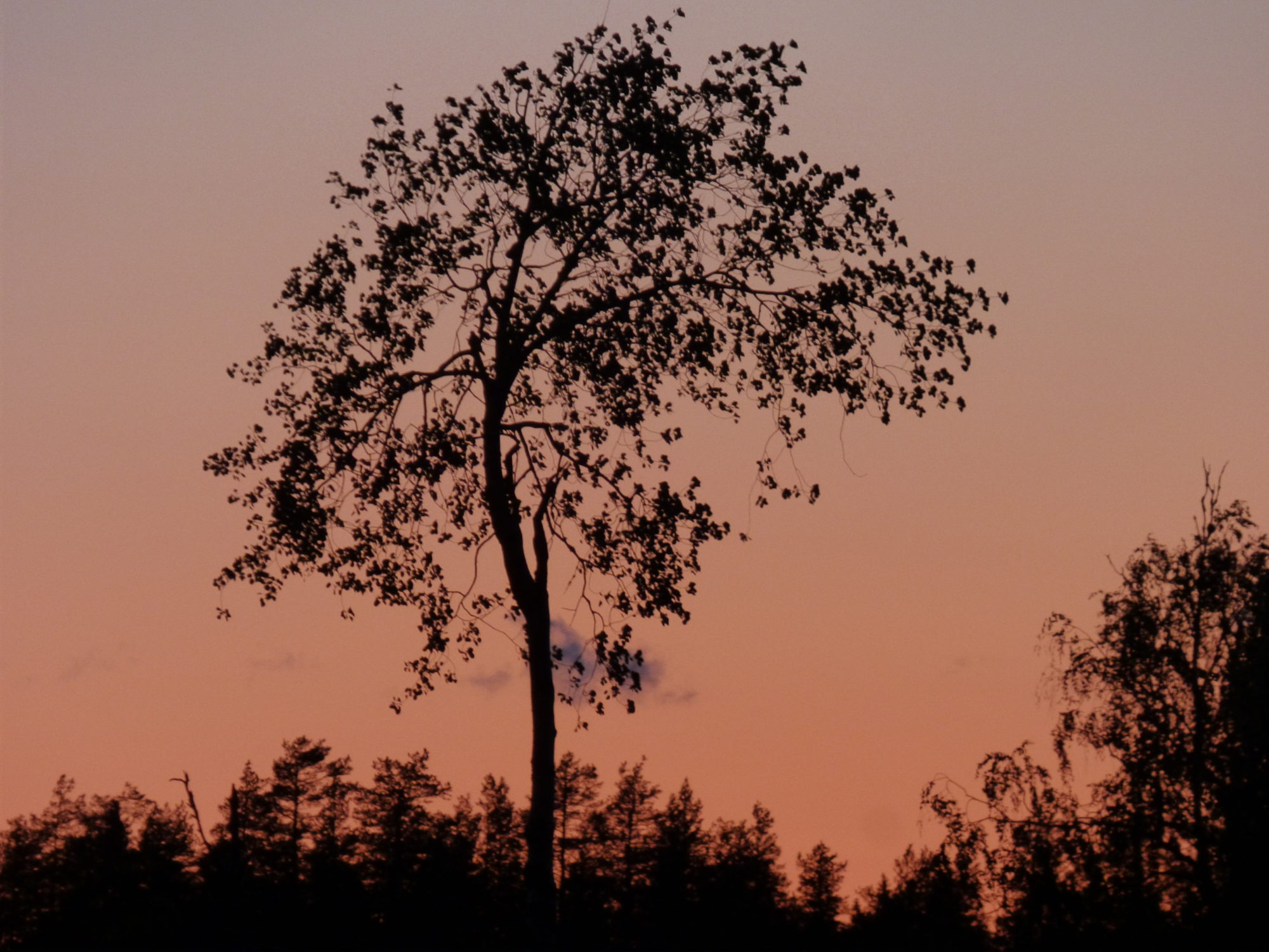 Valokuvaaja: Hannu Rissanen