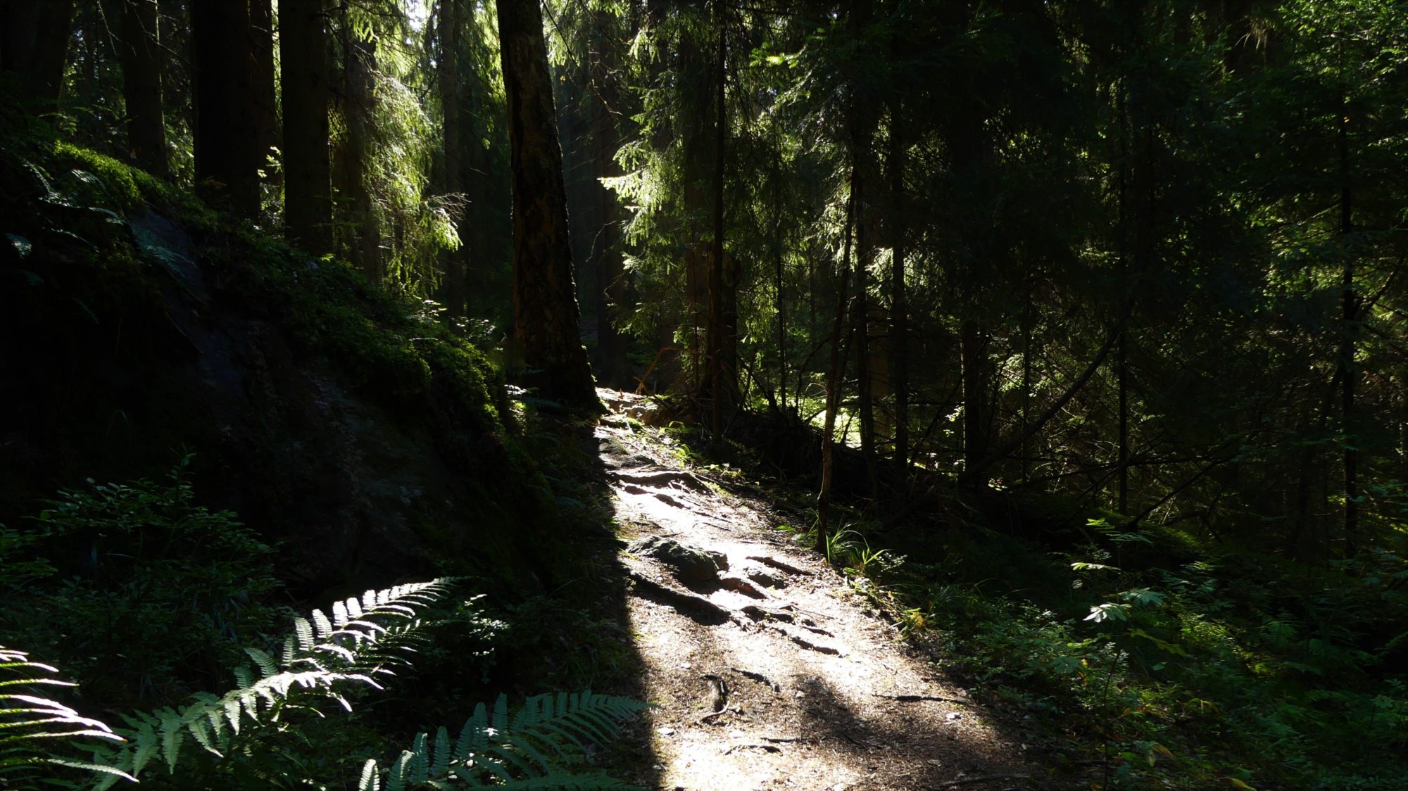 Valokuvaaja: Martti Valtonen