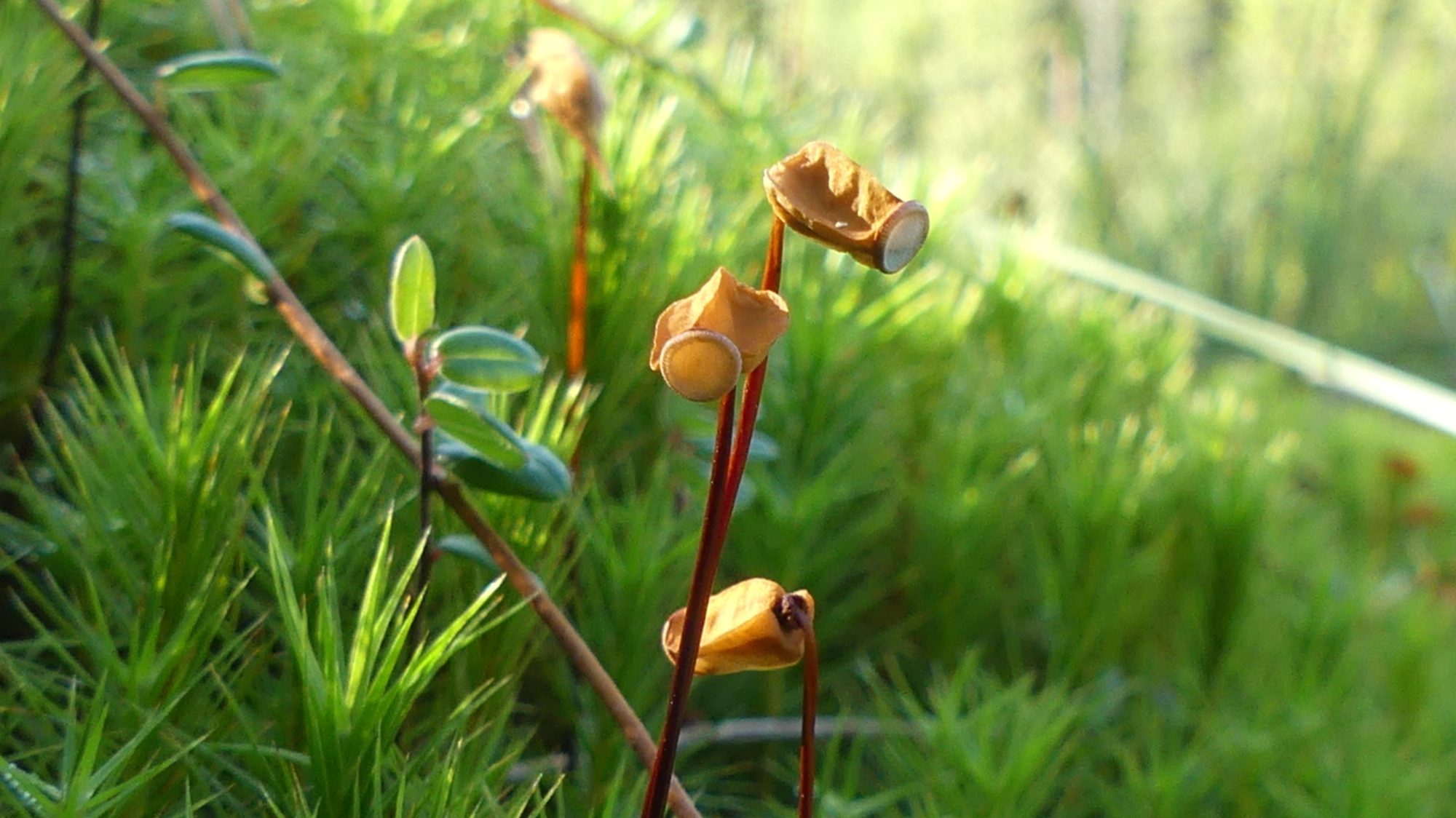 Valokuvaaja: Martti Valtonen