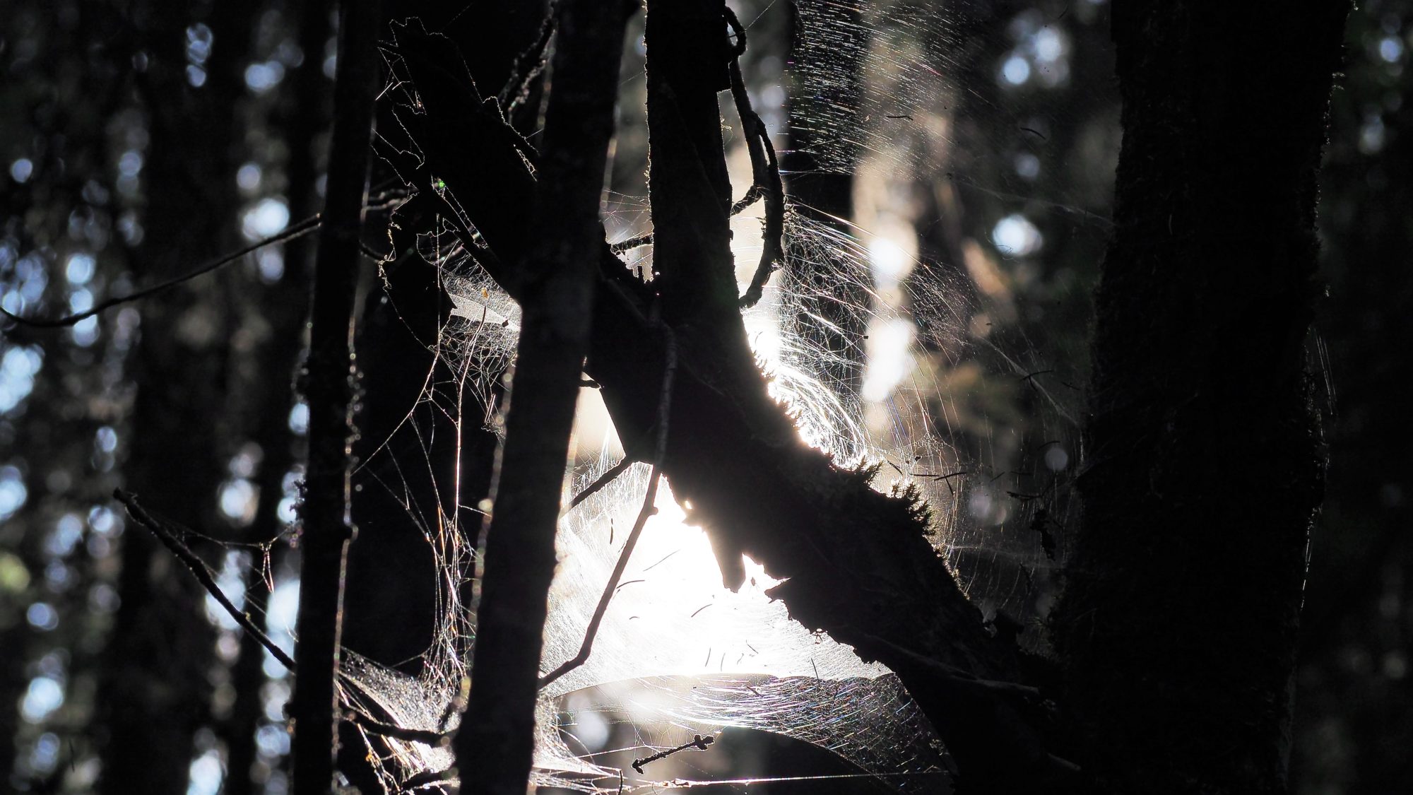 Valokuvaaja: Arja Valtonen