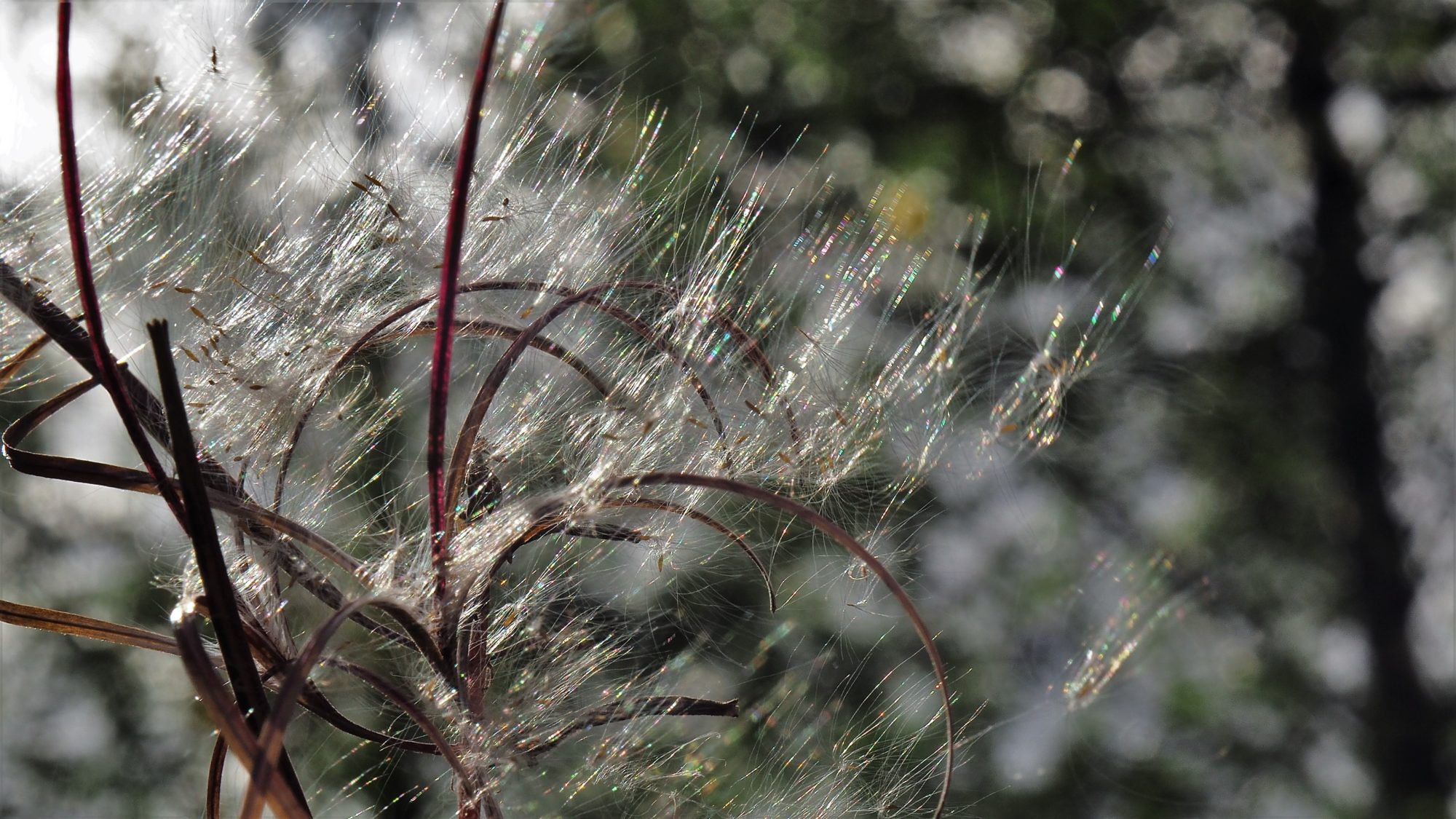 Valokuvaaja: Arja Valtonen